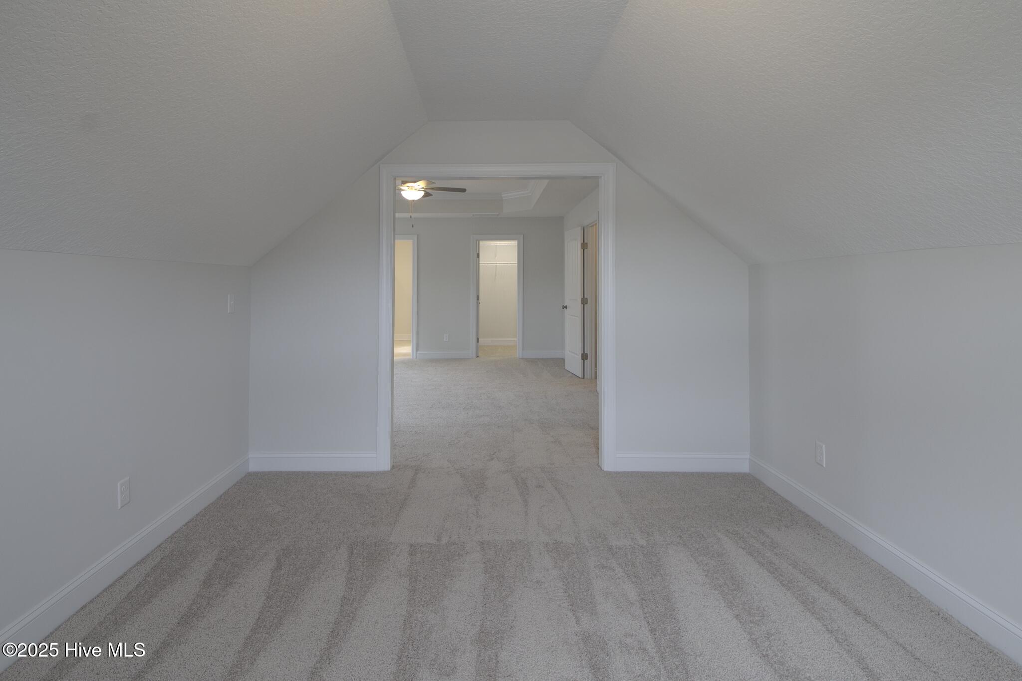 100509462 | Photo 26