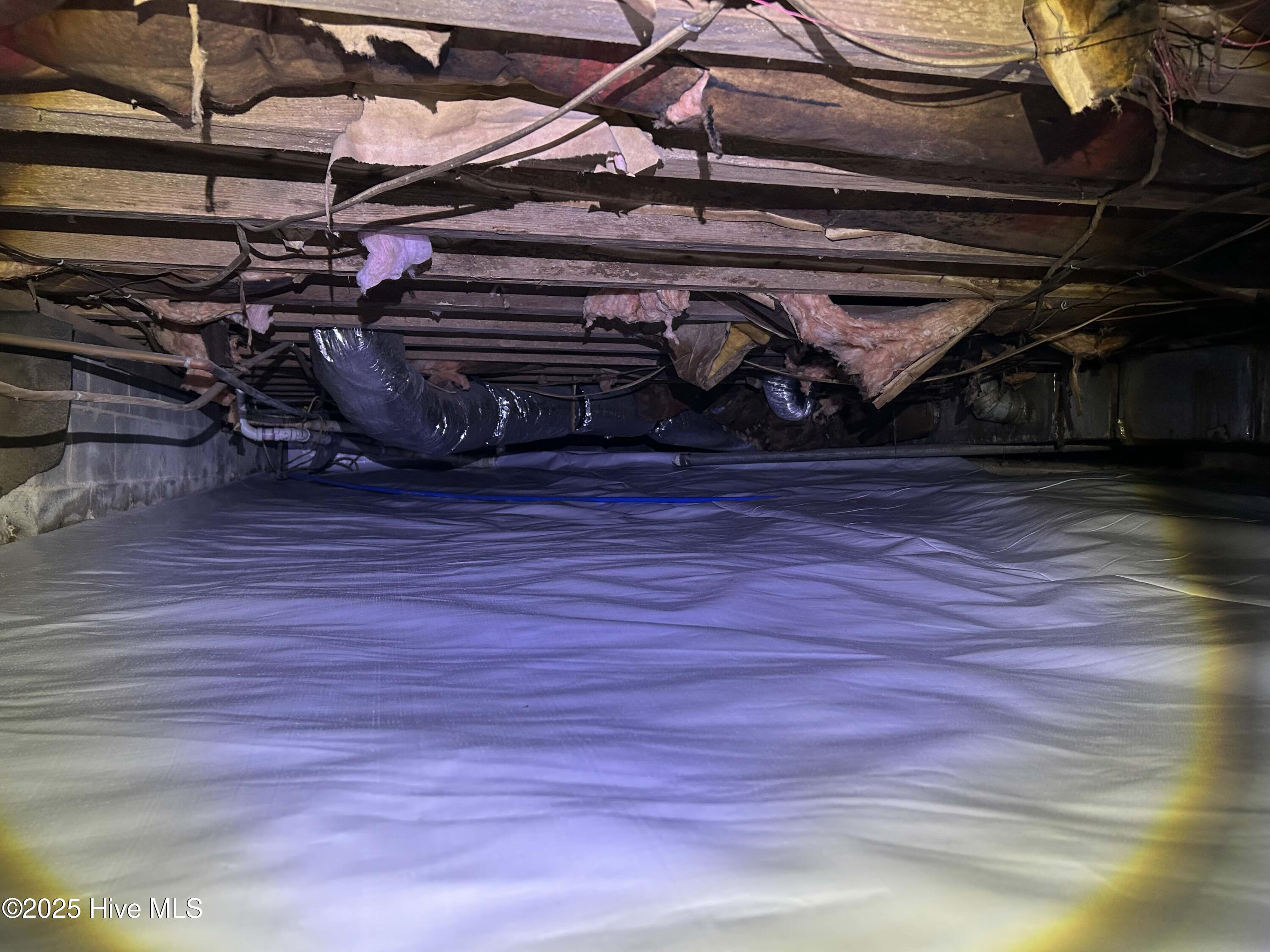 100505864 | Photo 53