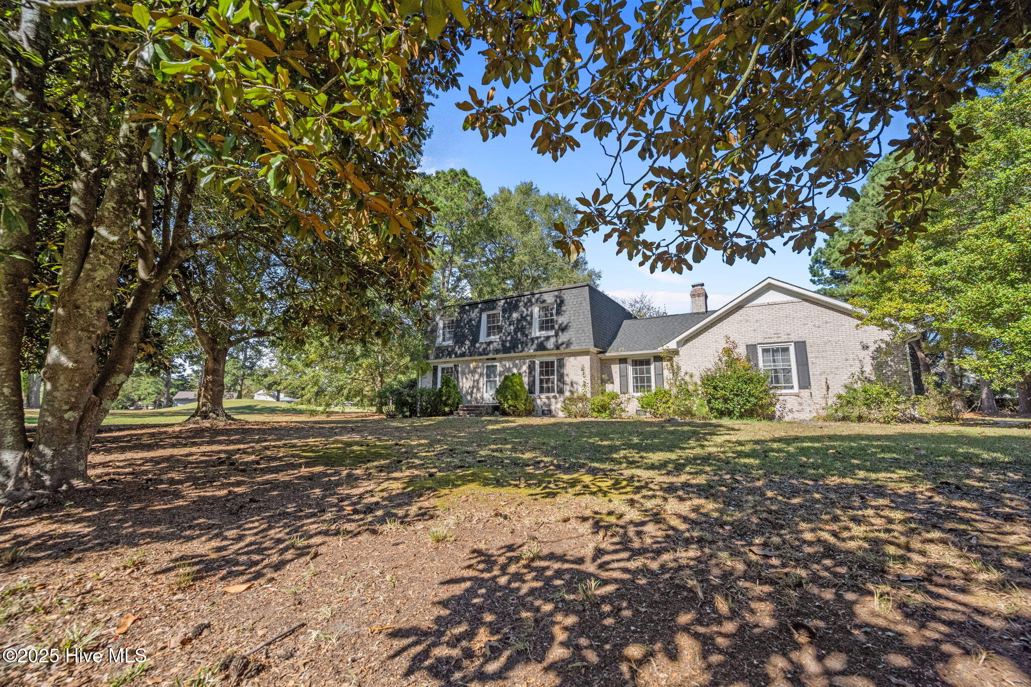 100537375 | Photo 41