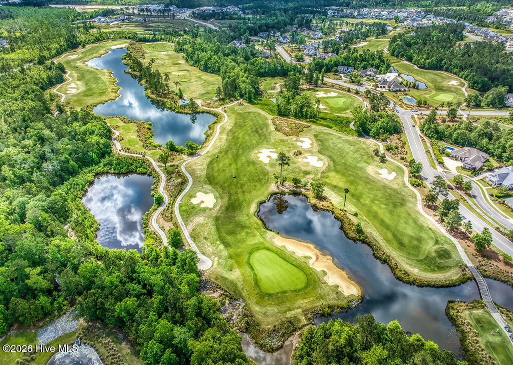 100569553 | Photo 53