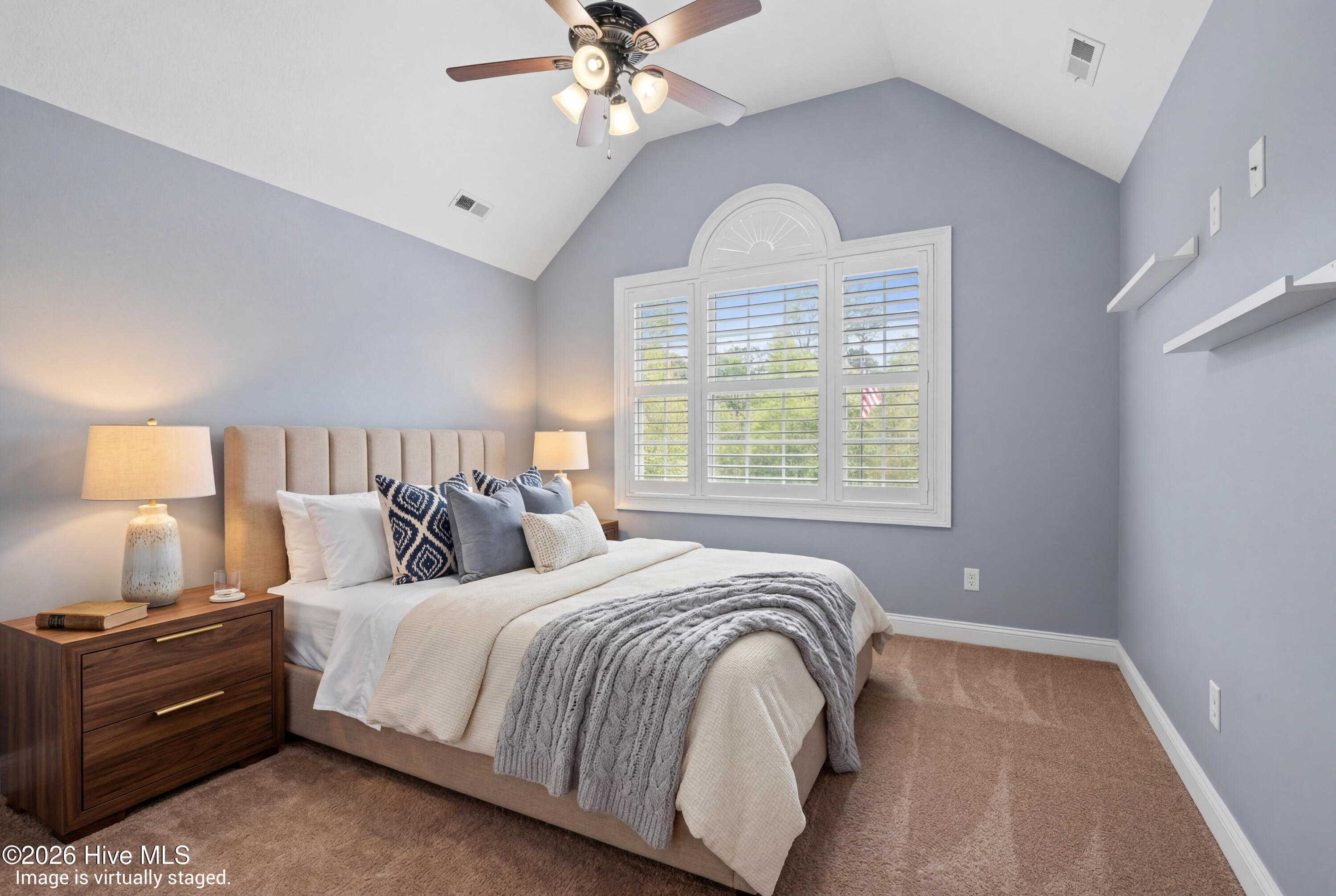 100565289 | Photo 49