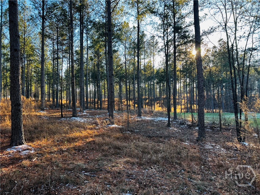 2285 Cherokee Road, Comer, GA, 30629