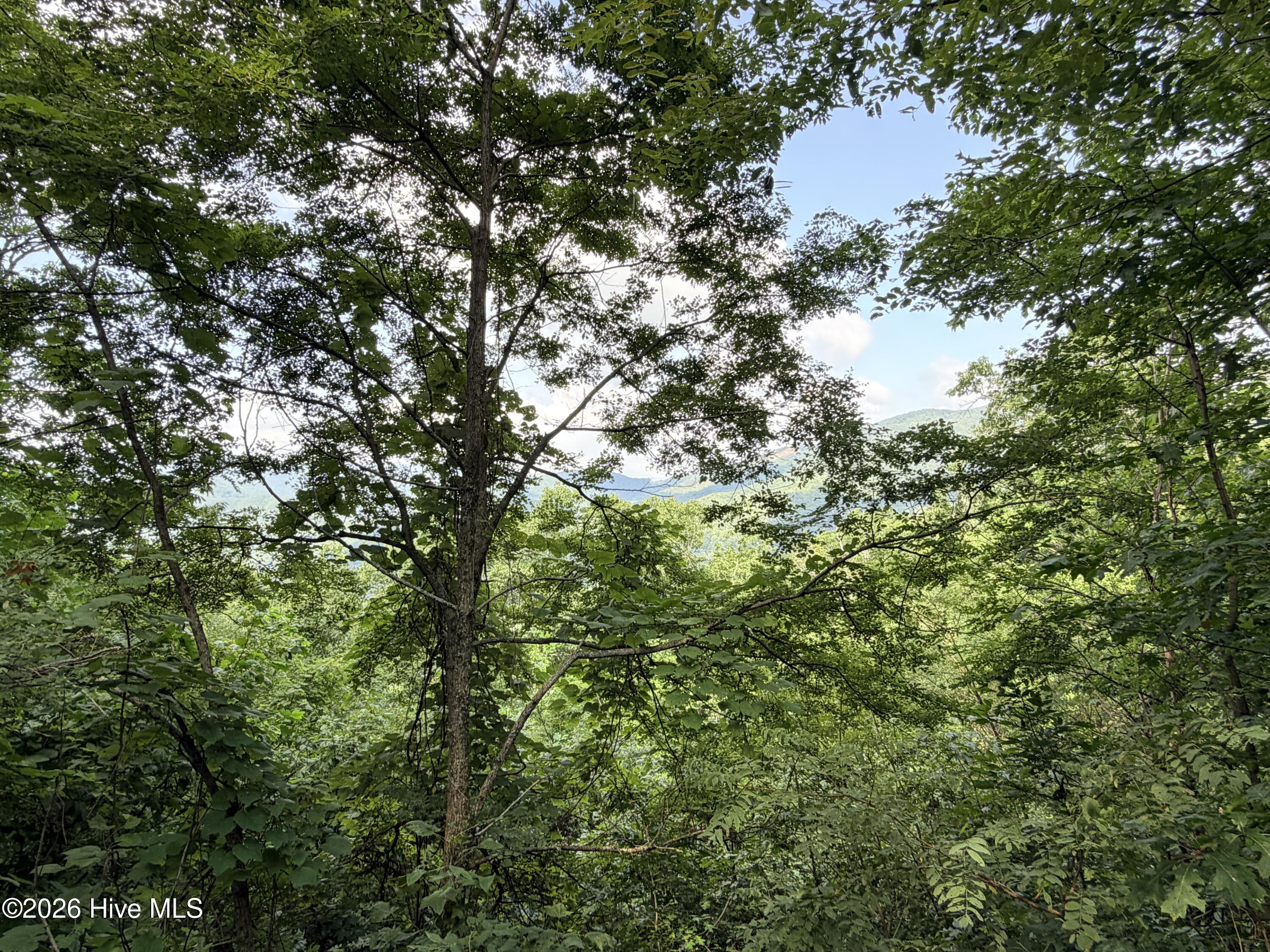 3rd image of Lot 7 Mystic Ridge Way W, Topton, NC 28781 | MLS# 100596645