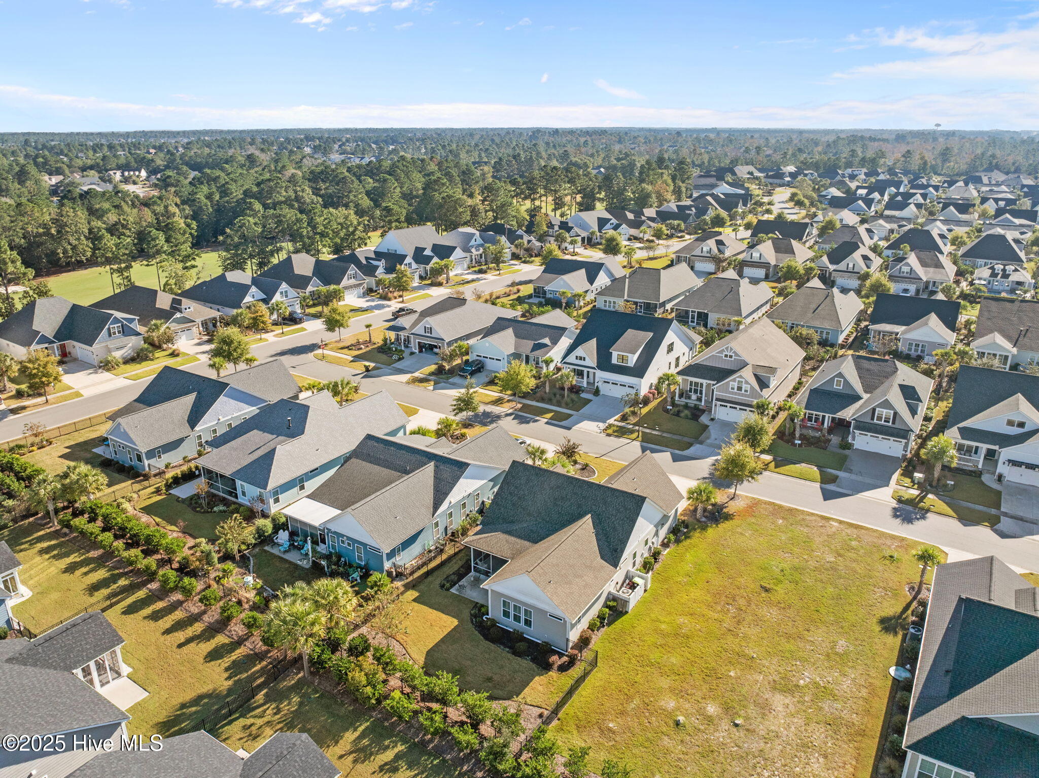 100537659 | Photo 55