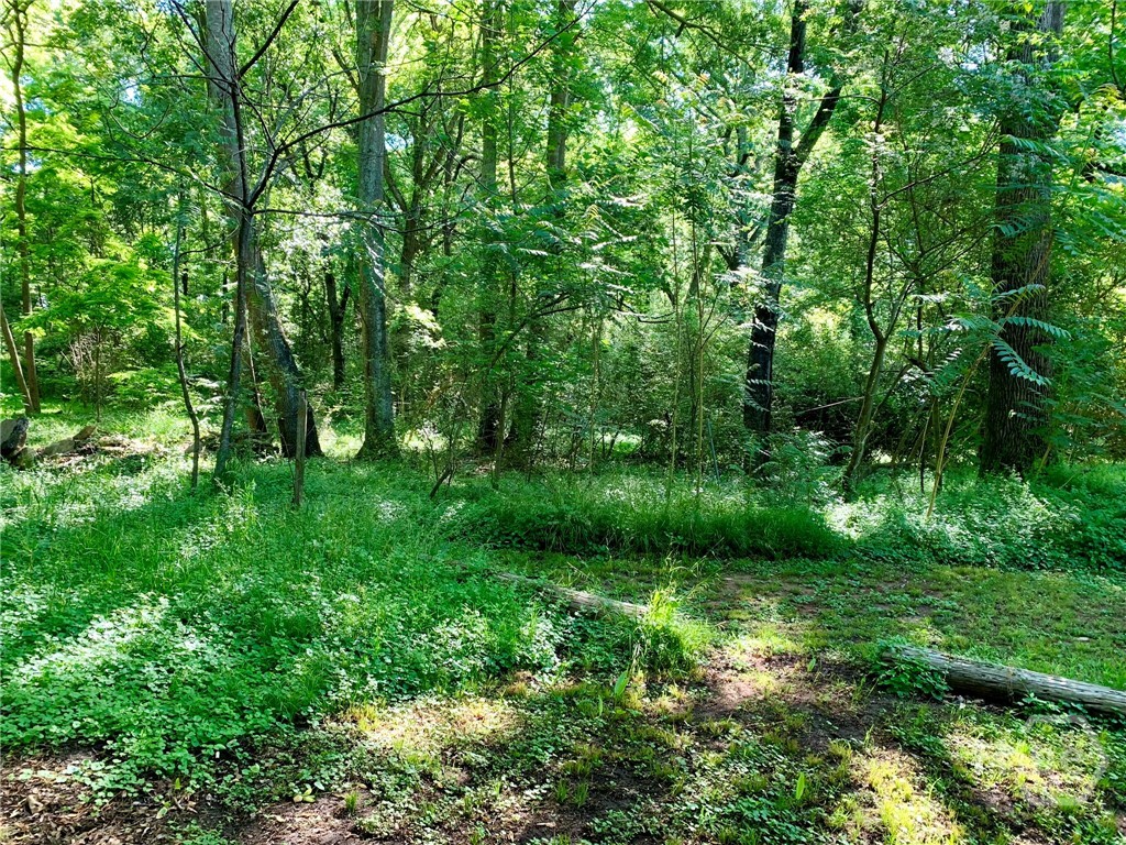 Homes for sale in Commerce, GA | 0 Martin Luther King Jr Dr, Commerce, GA 30529 | MLS# CL336436