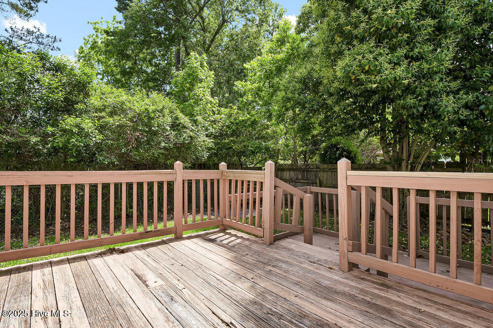 100508379 | Photo 34