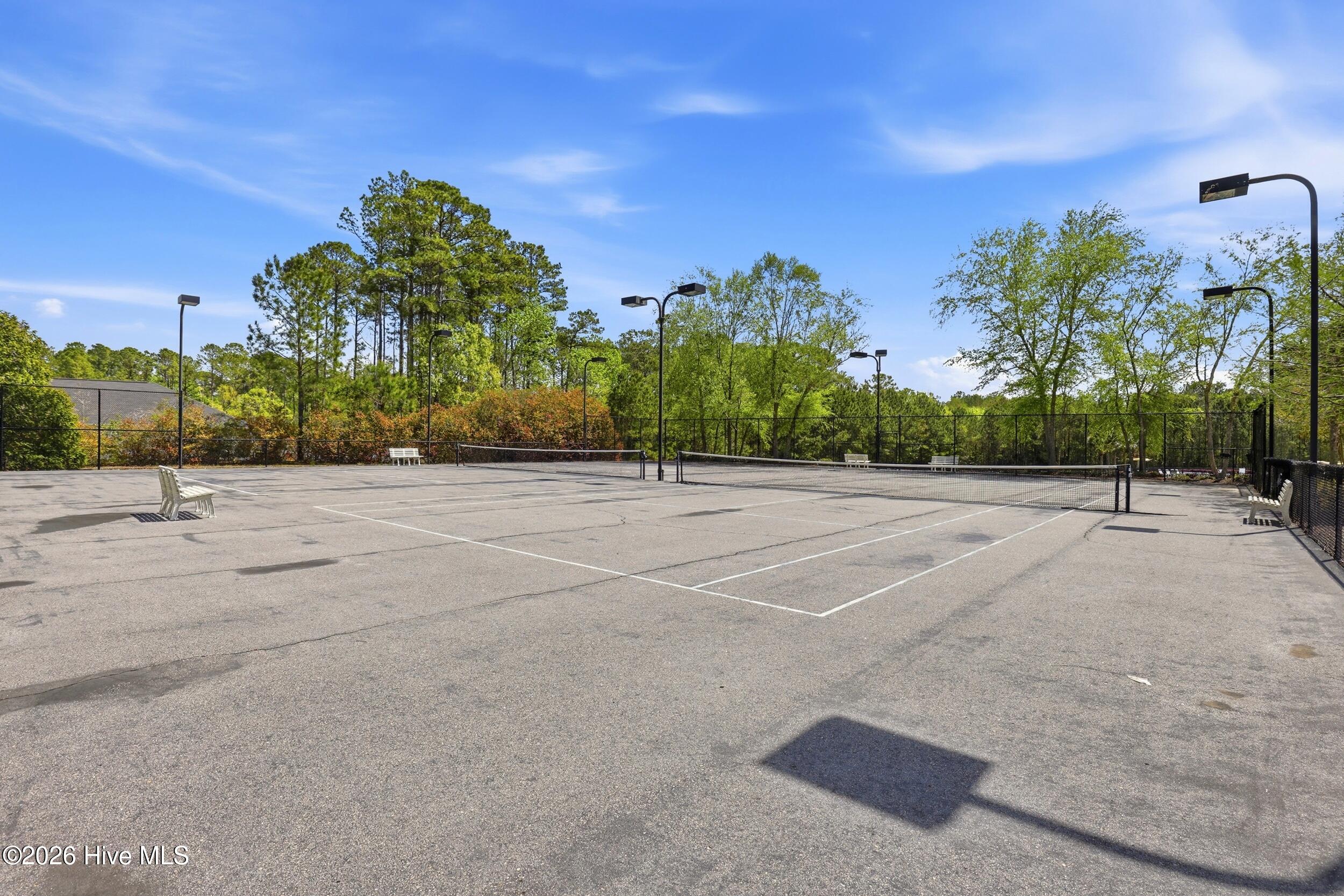 100565948 | Photo 51