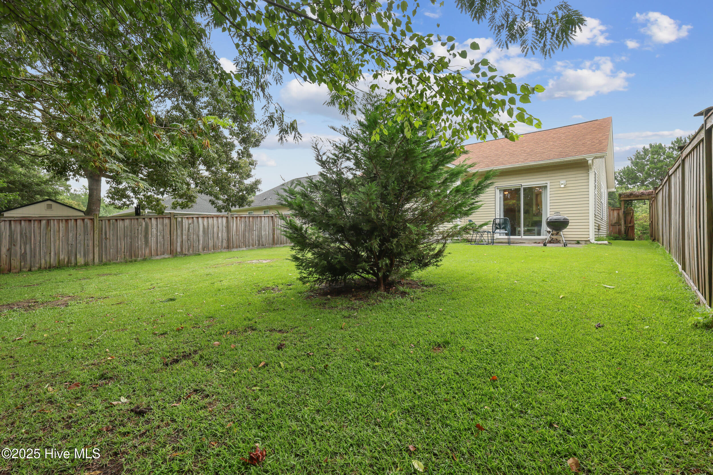 100520653 | Photo 14