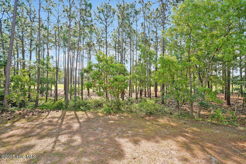 100531319 | Photo 35