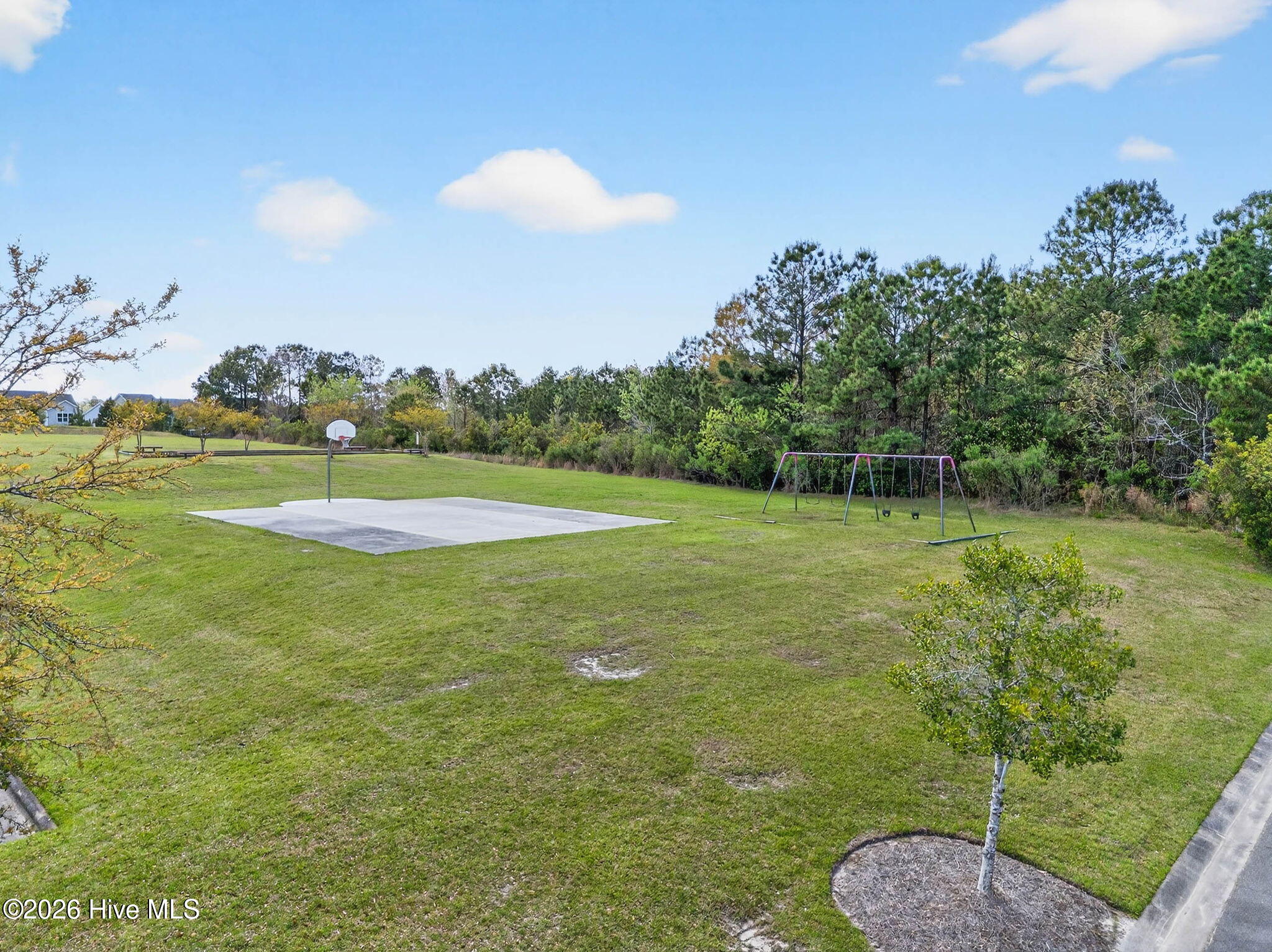 100566097 | Photo 57