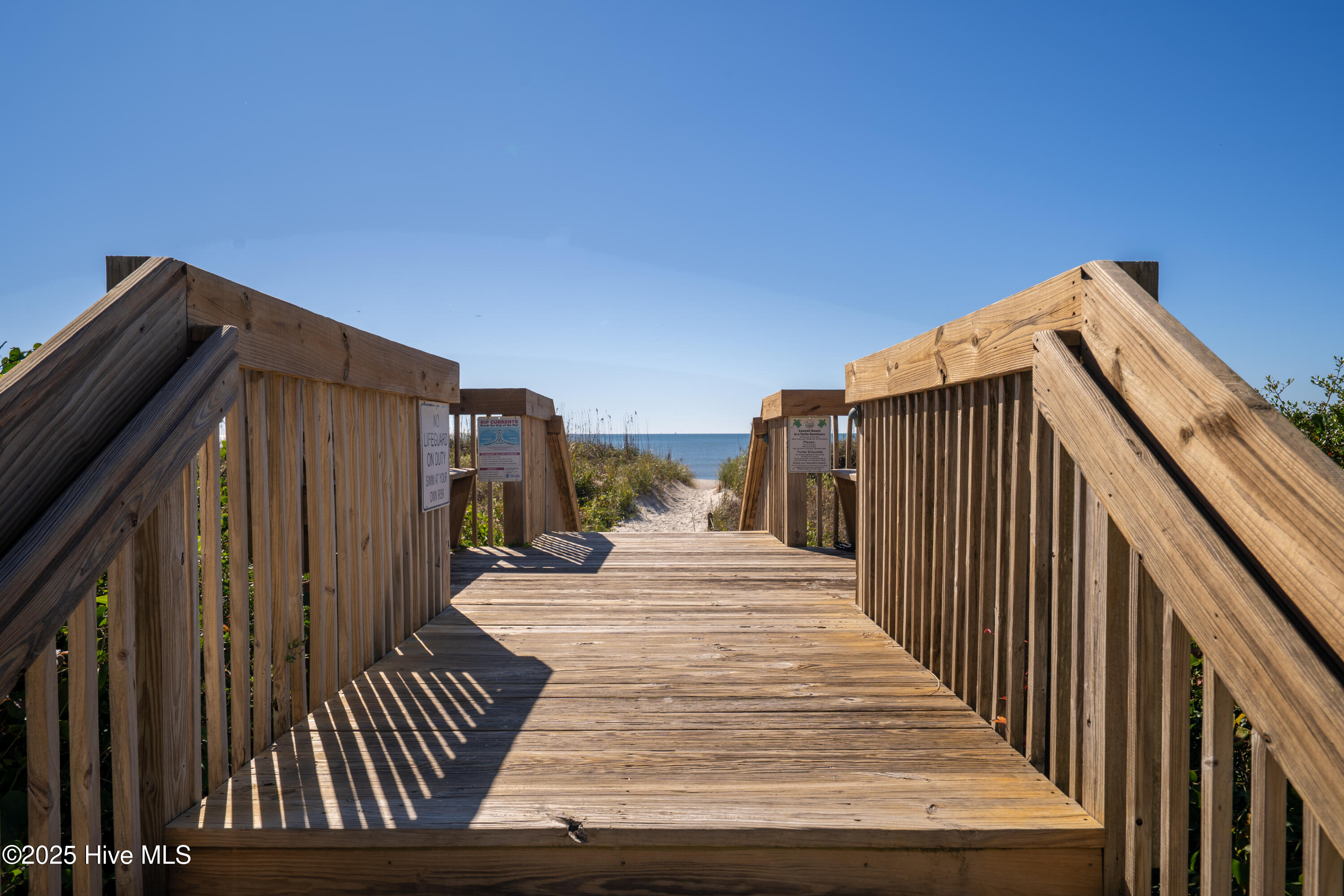 100539847 | Photo 59