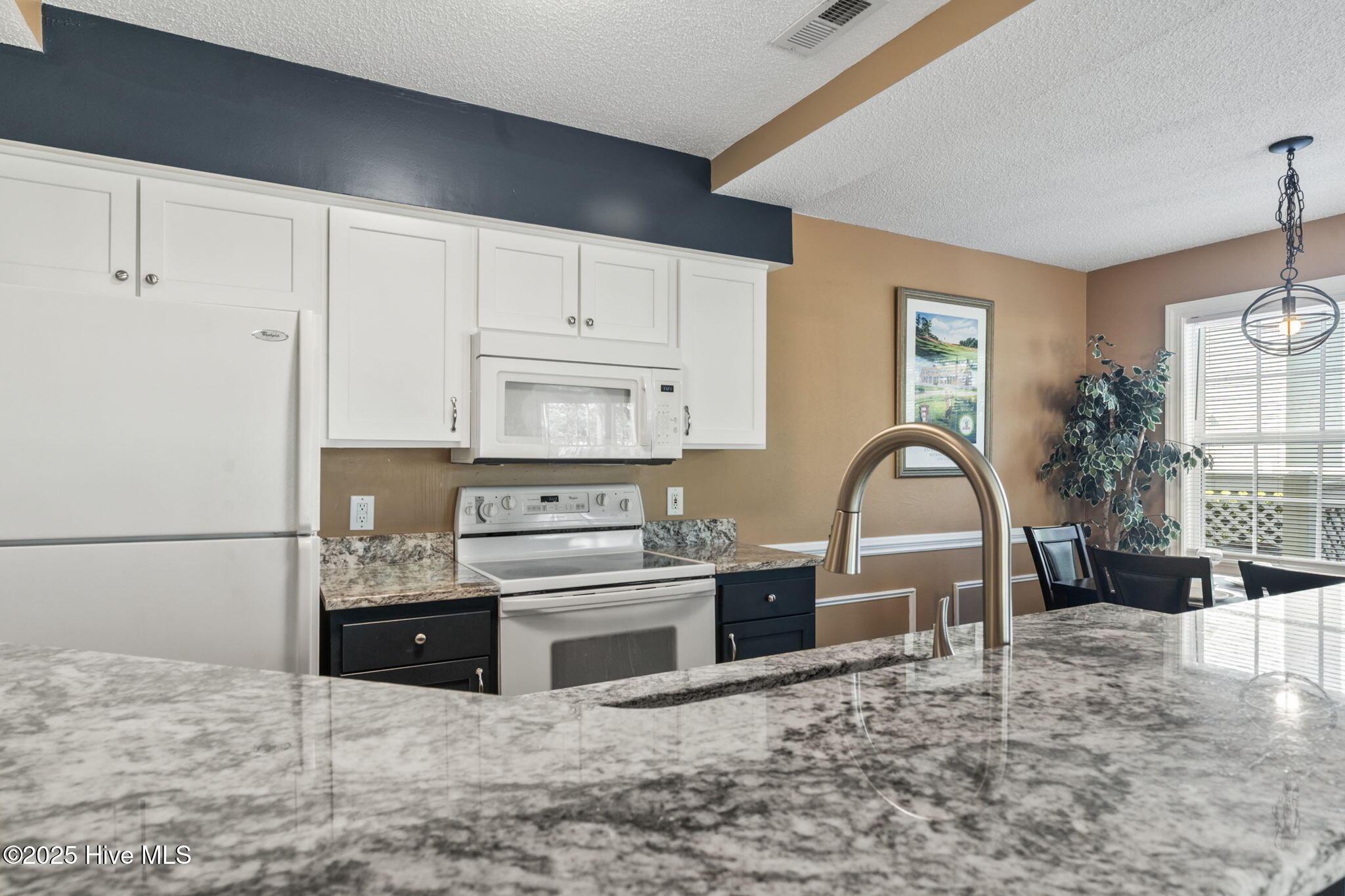 100501410 | Photo 21