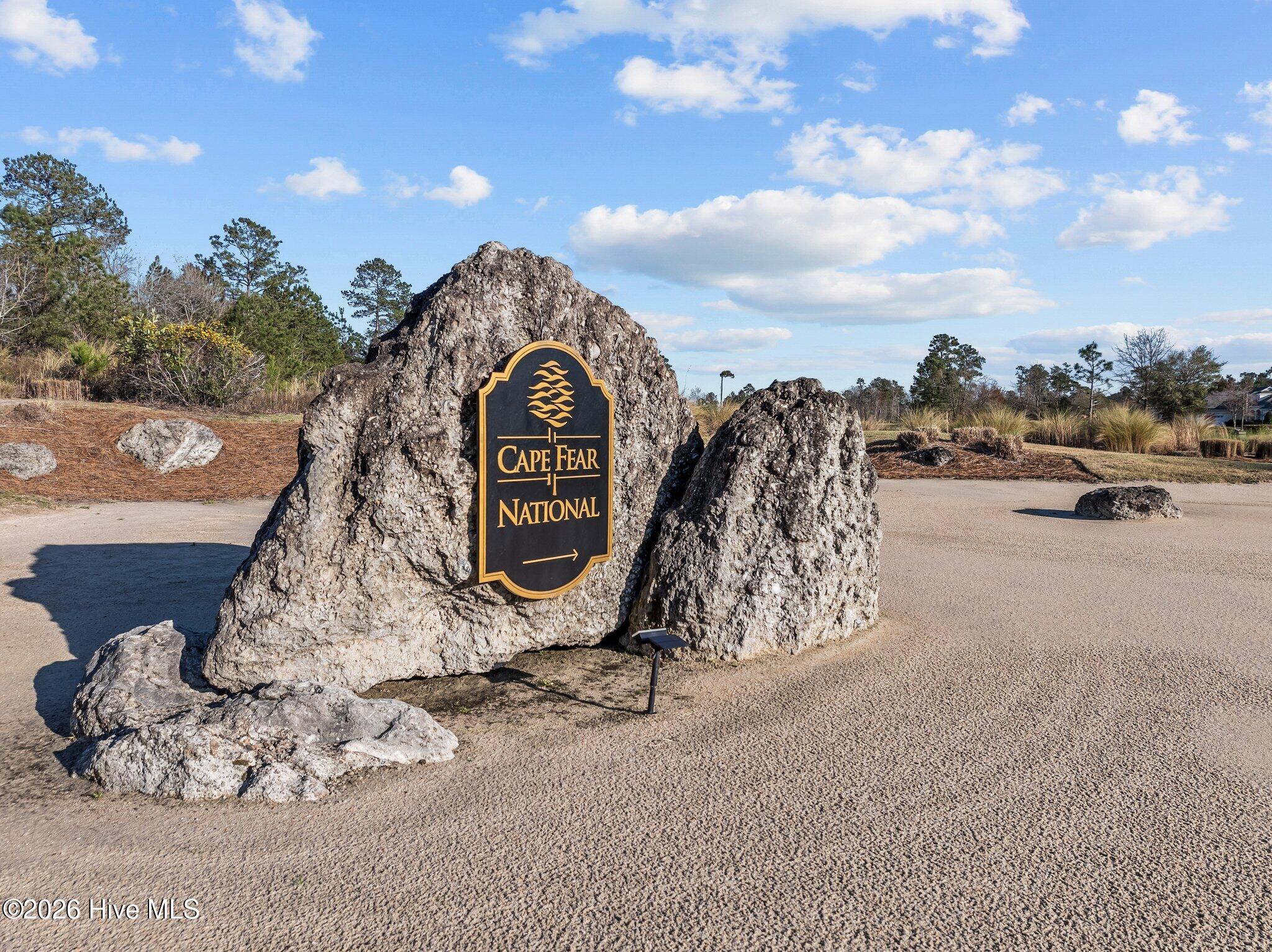 100568517 | Photo 41