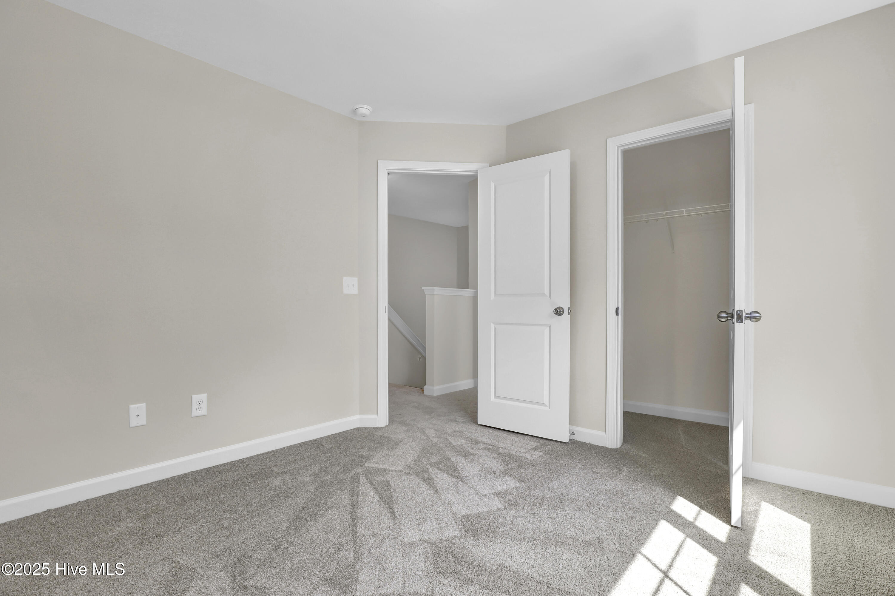 100488784 | Photo 22