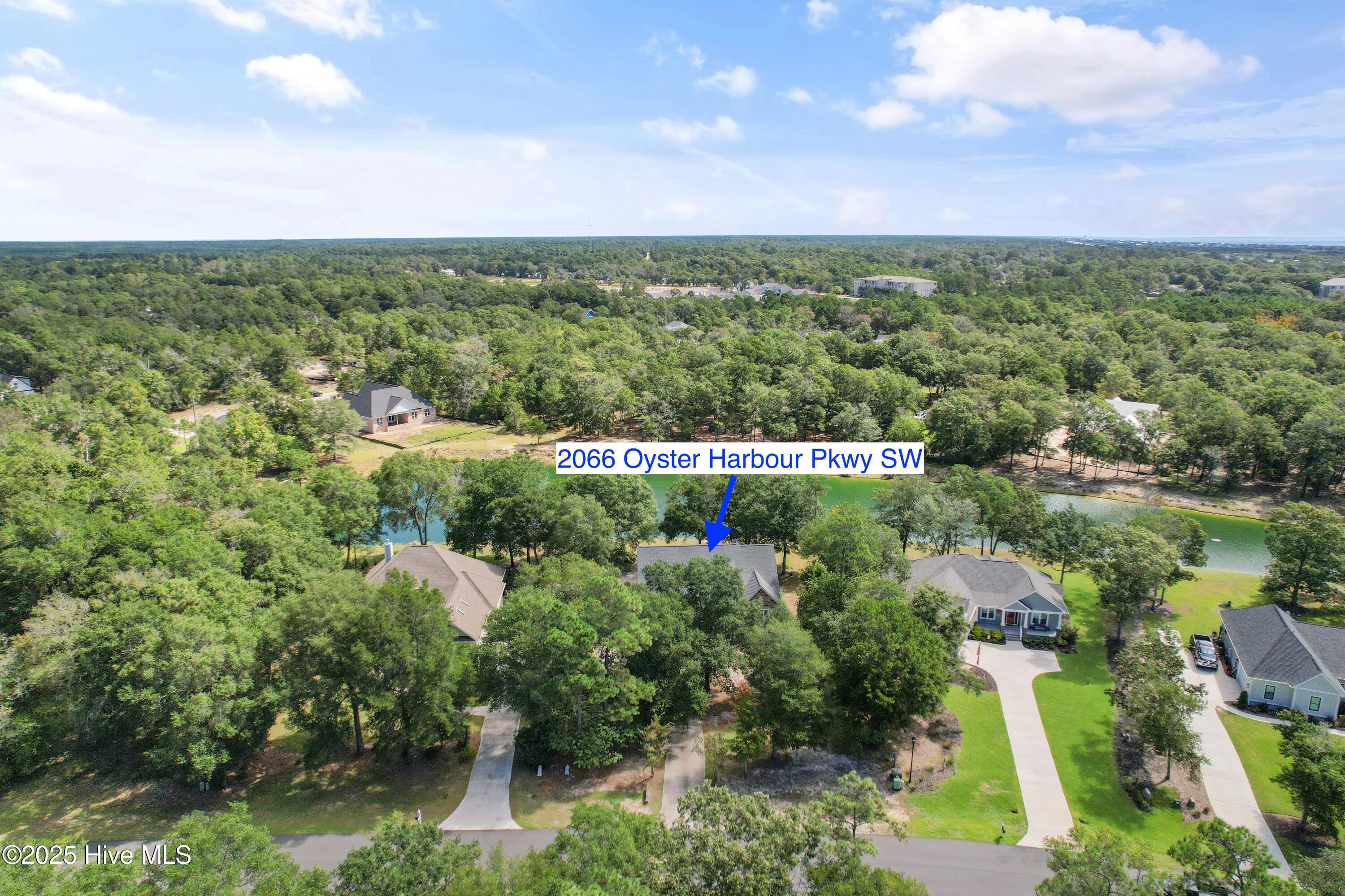 100528627 | Photo 42