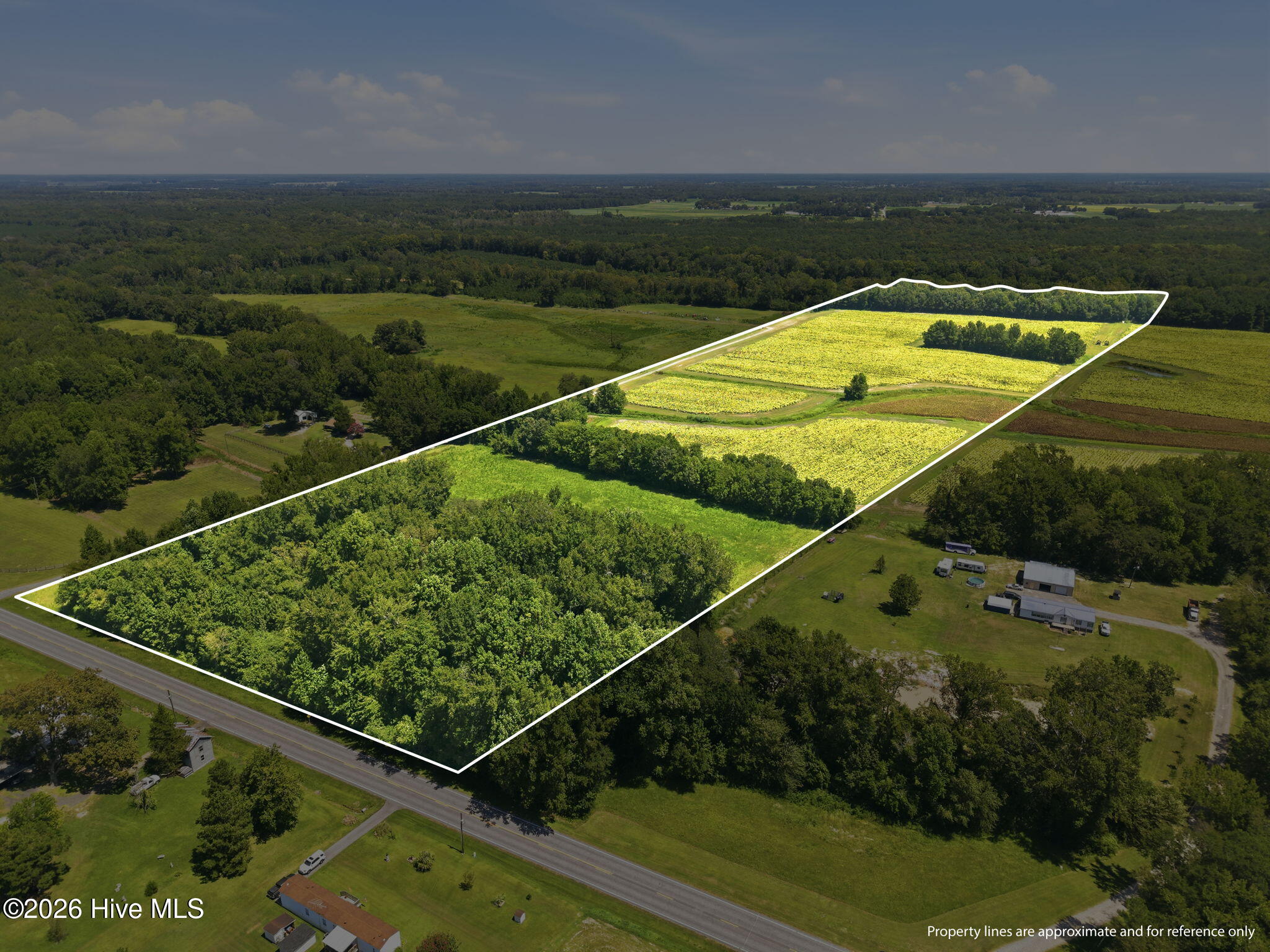 11th image of 0 N Carolina 43, Macclesfield, NC 27852 | MLS# 100597023