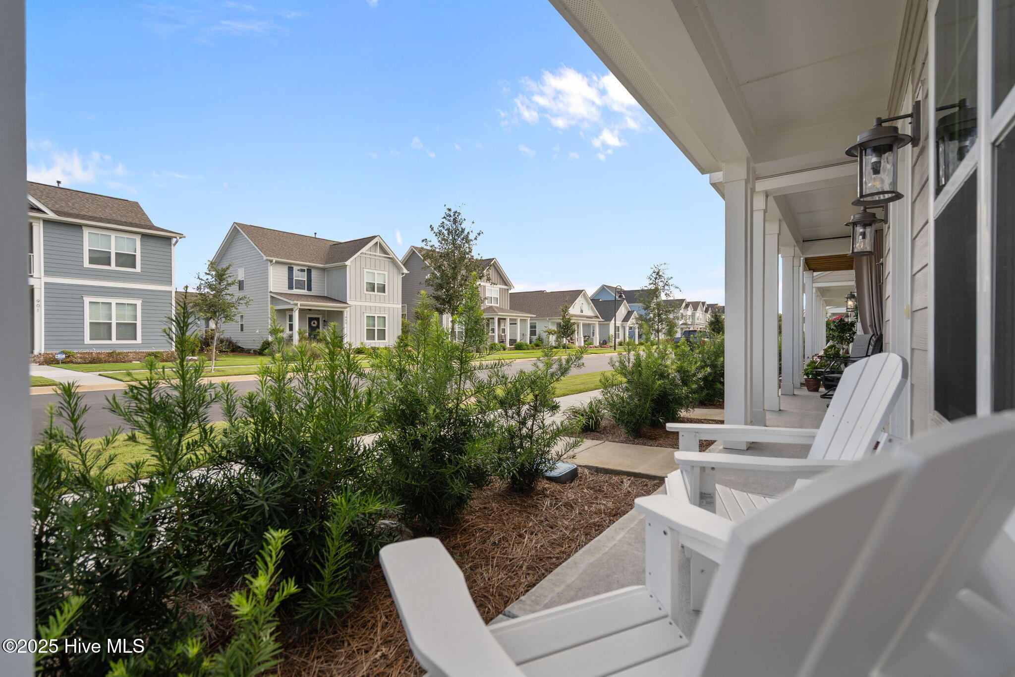 53-web-or-mls-DSC03768