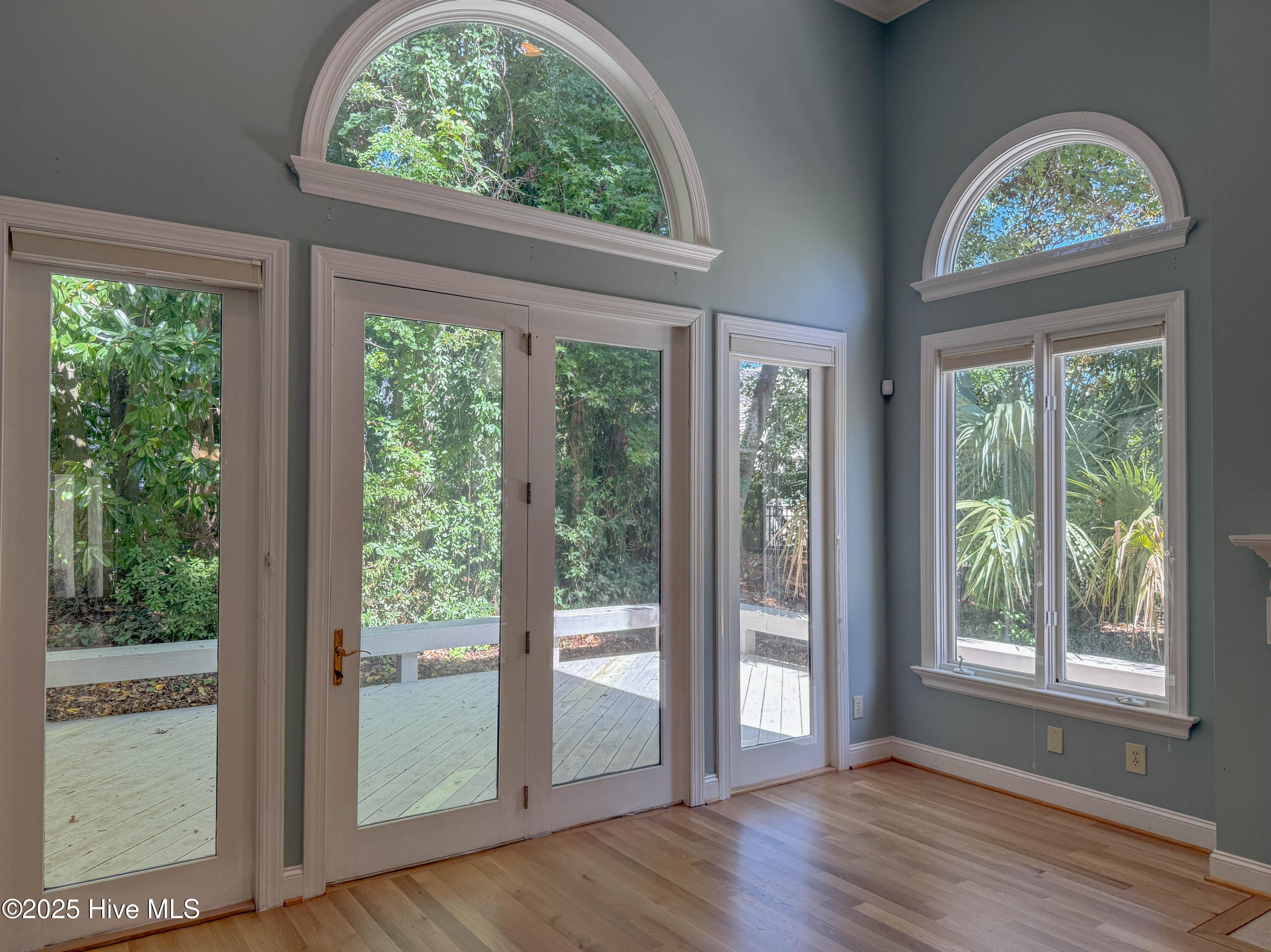 100535071 | Photo 13