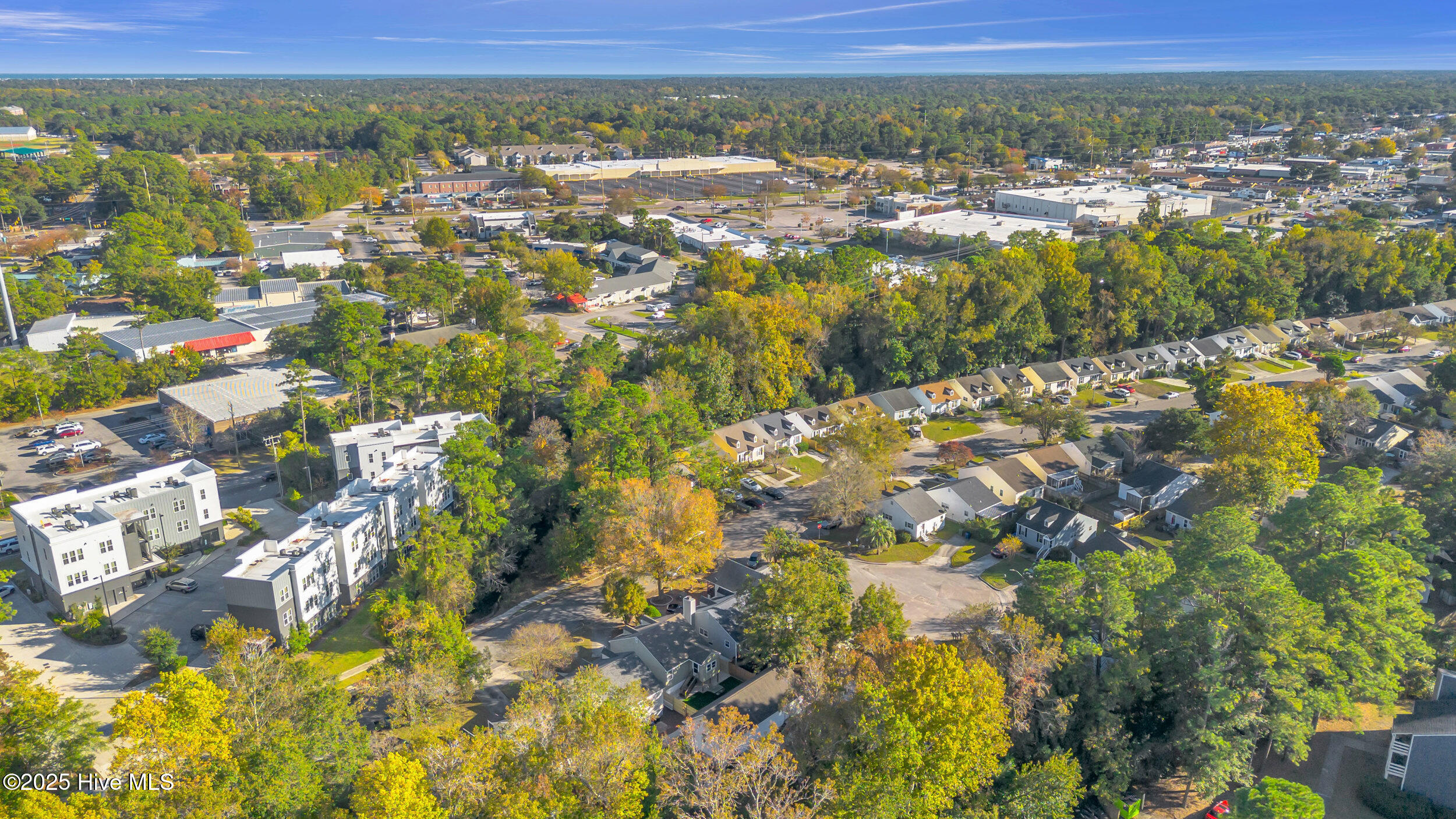 100540168 | Photo 44