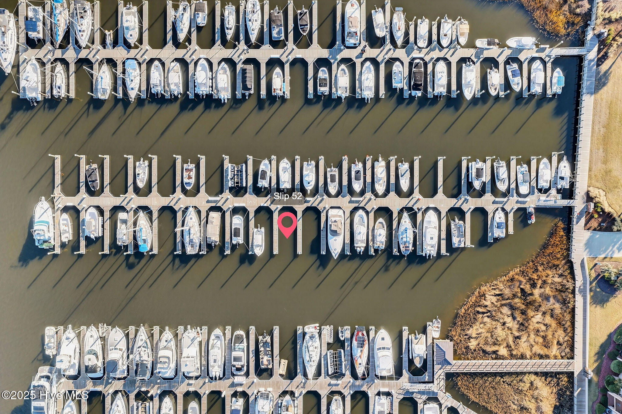 100545010 | Photo 17