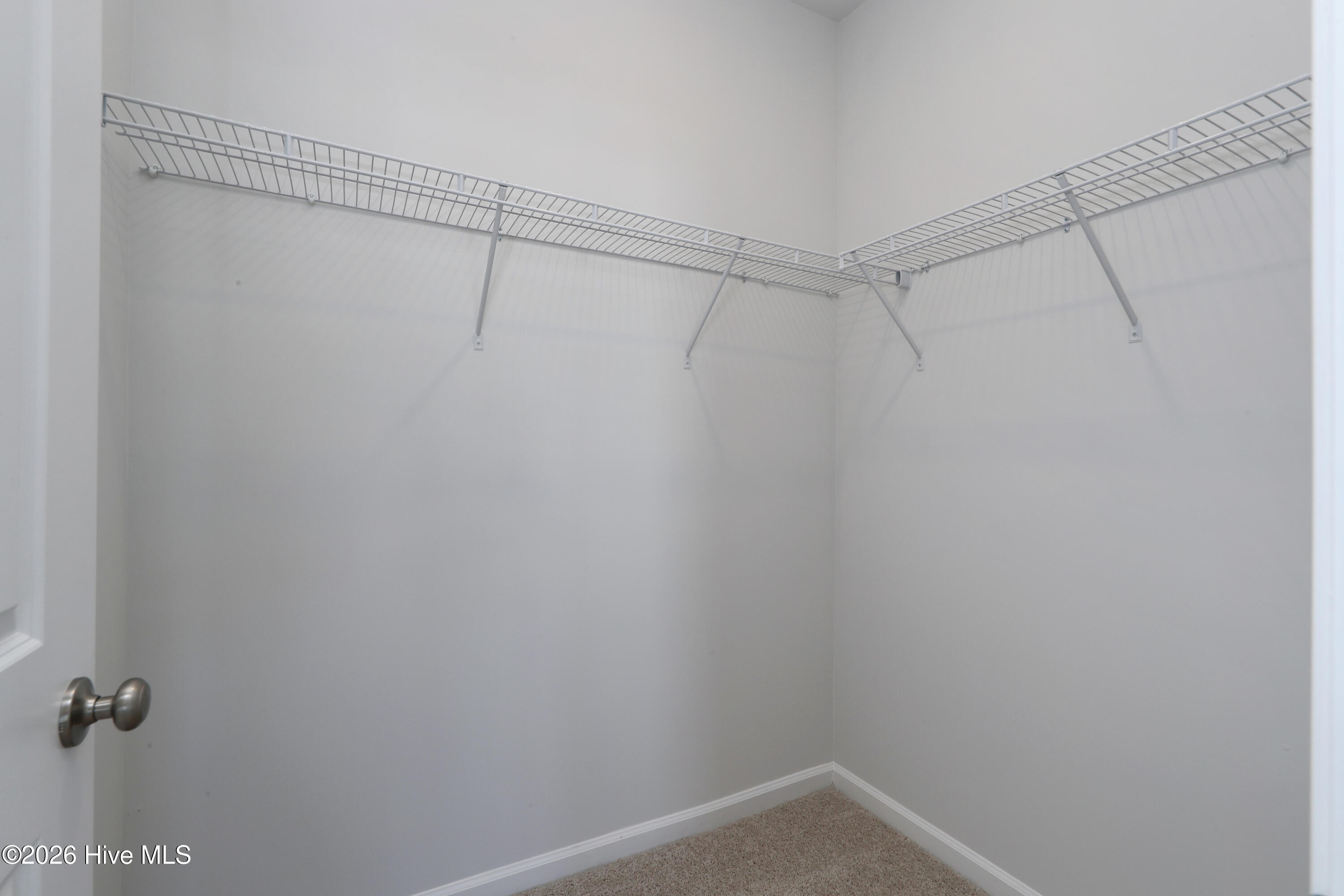 100520323 | Photo 33