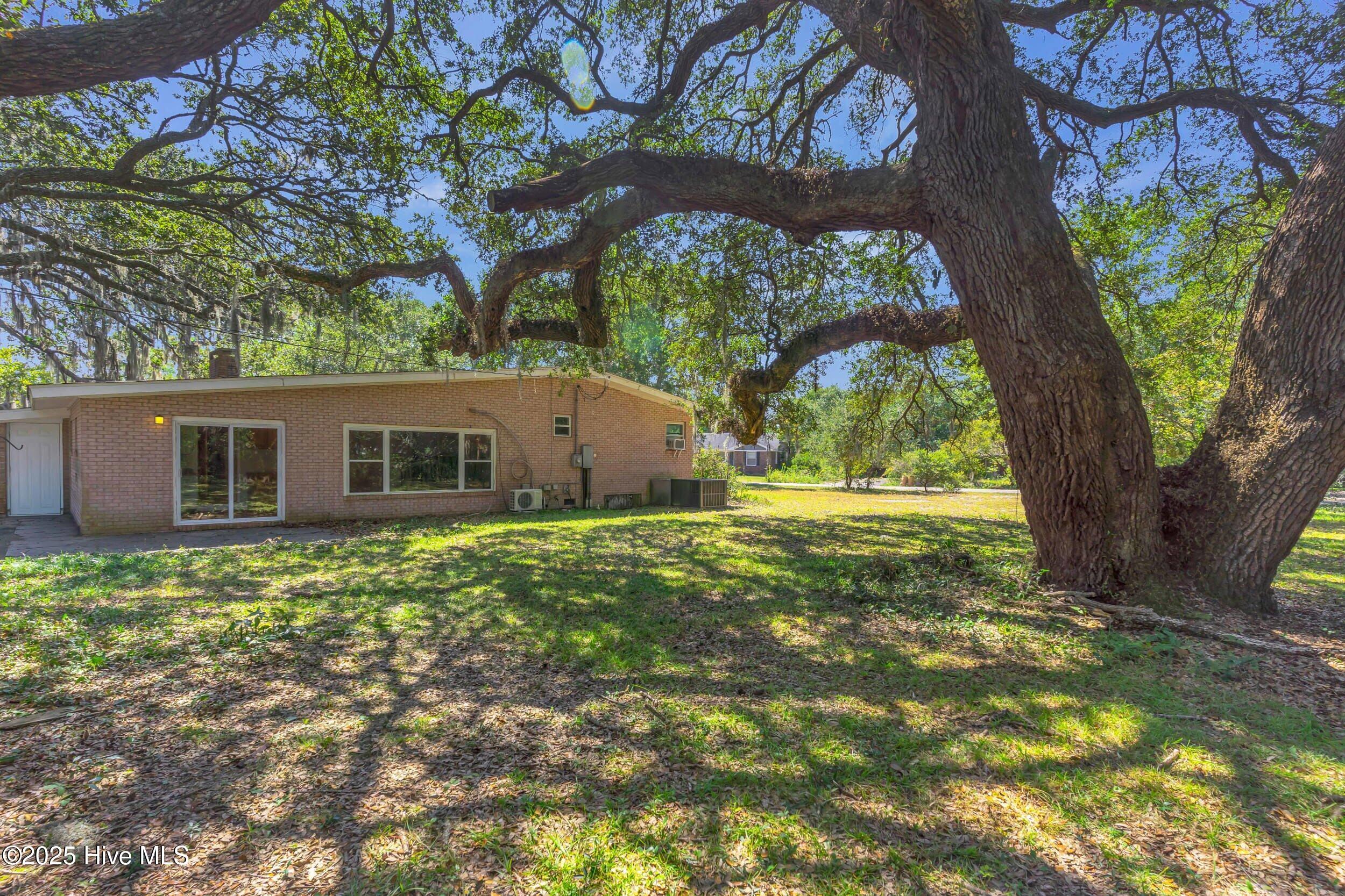 100532133 | Photo 41