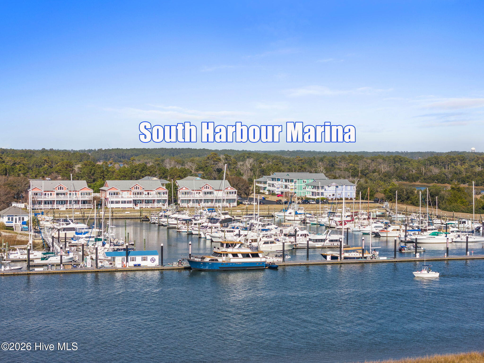 100558158 | Photo 49