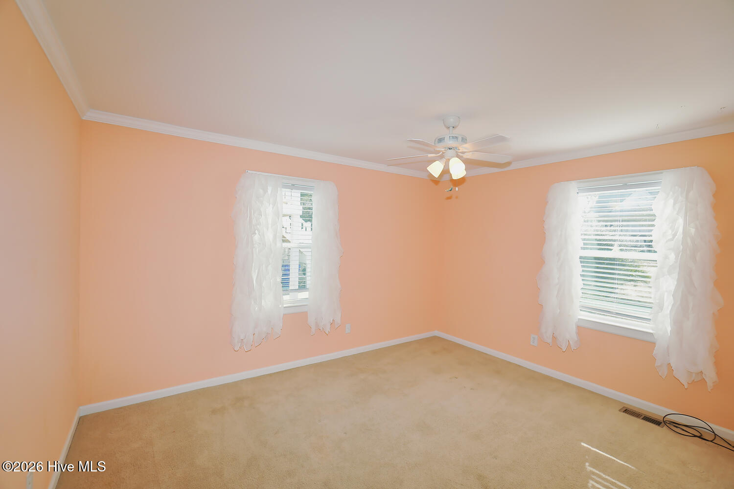 100548461 | Photo 23