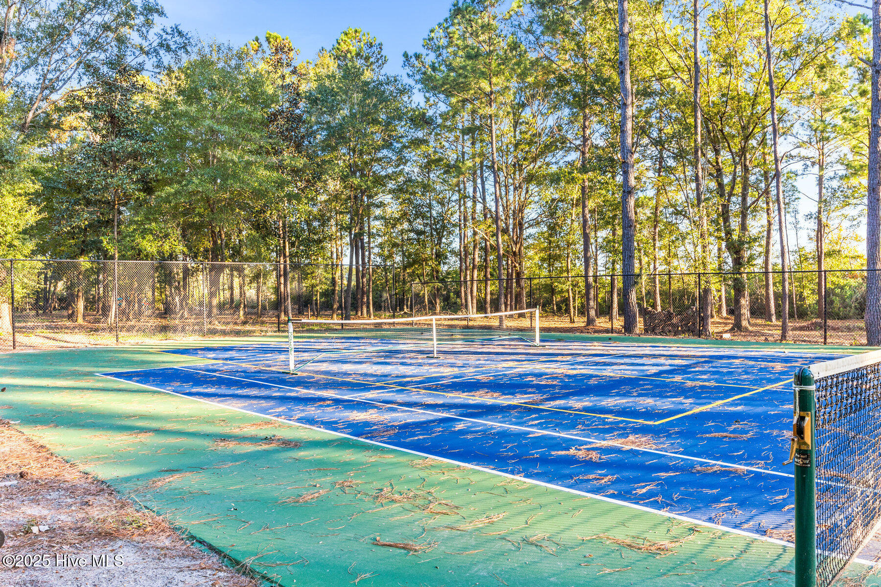 100537930 | Photo 64