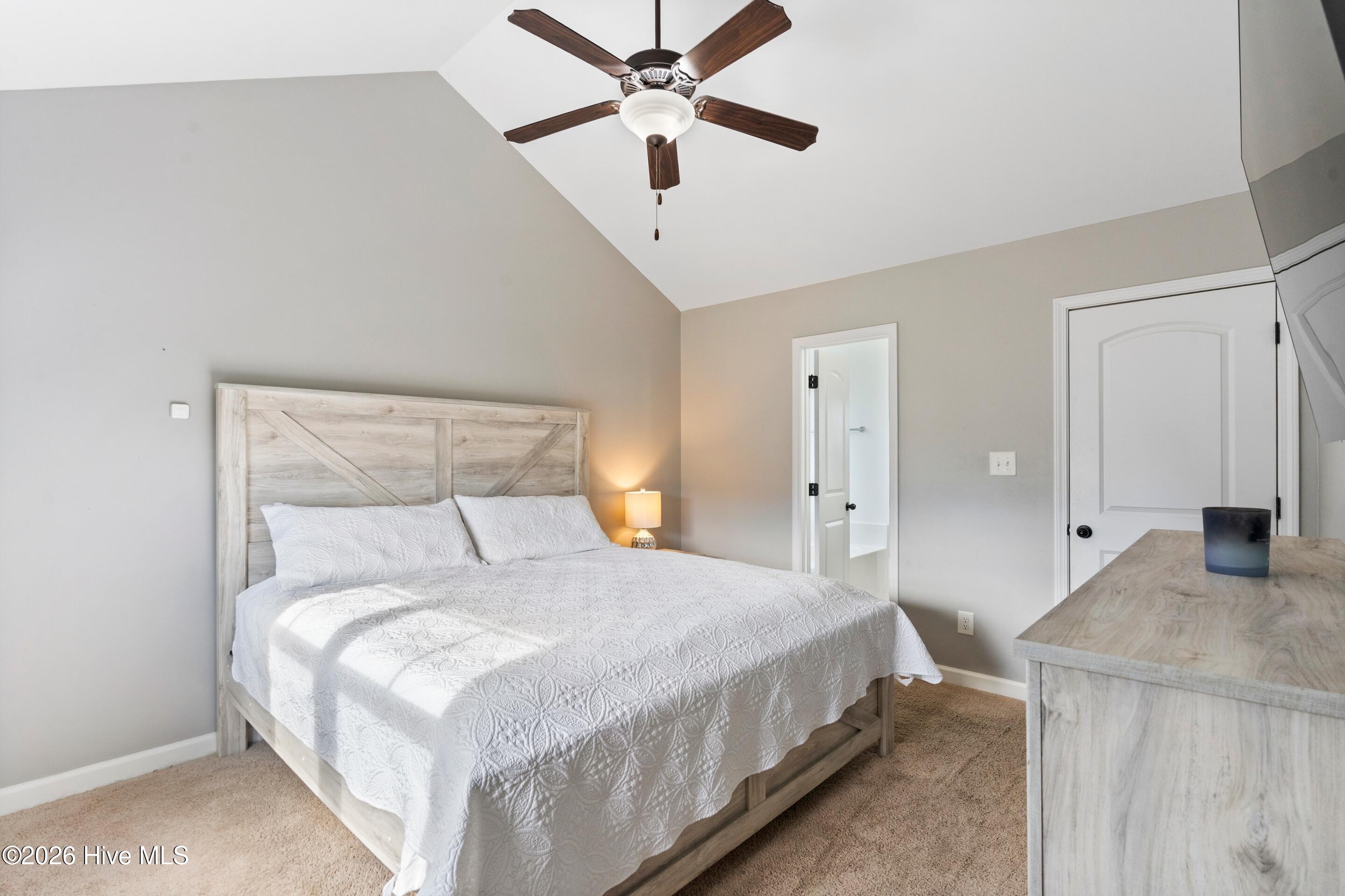 100548782 | Photo 17