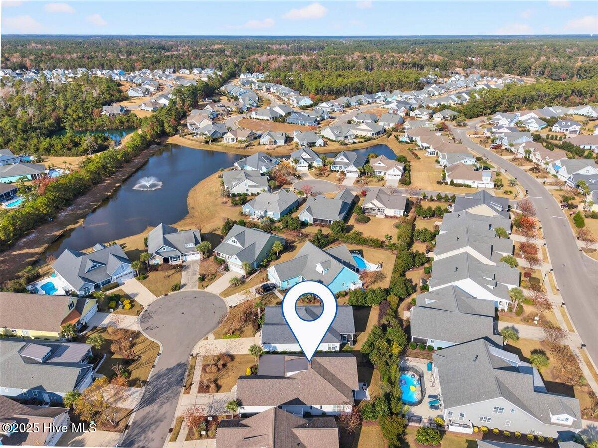 100541370 | Photo 48