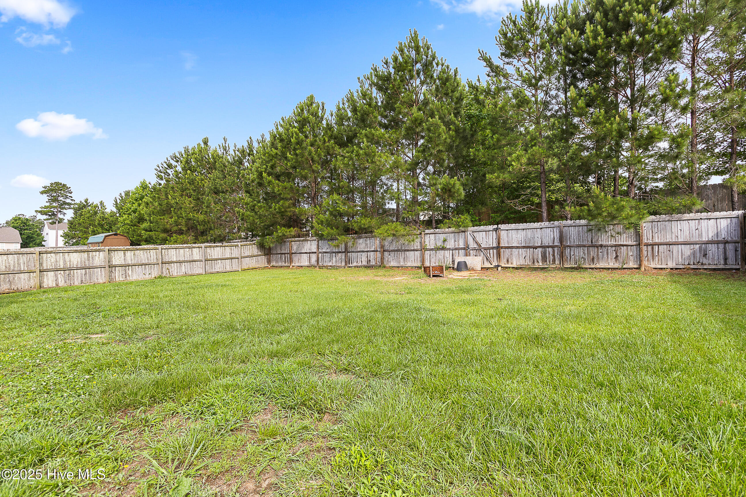 100567808 | Photo 23