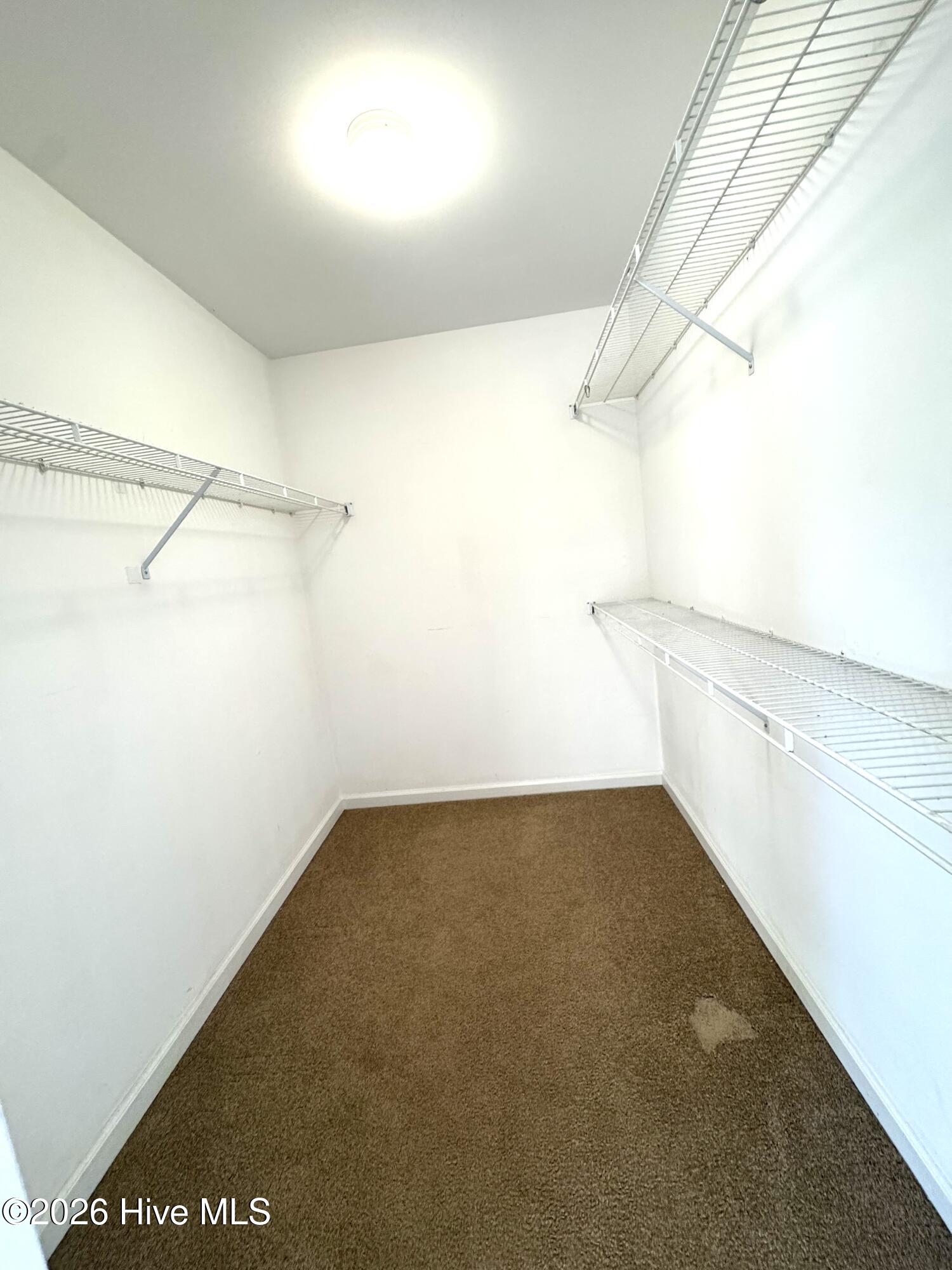 100555019 | Photo 13