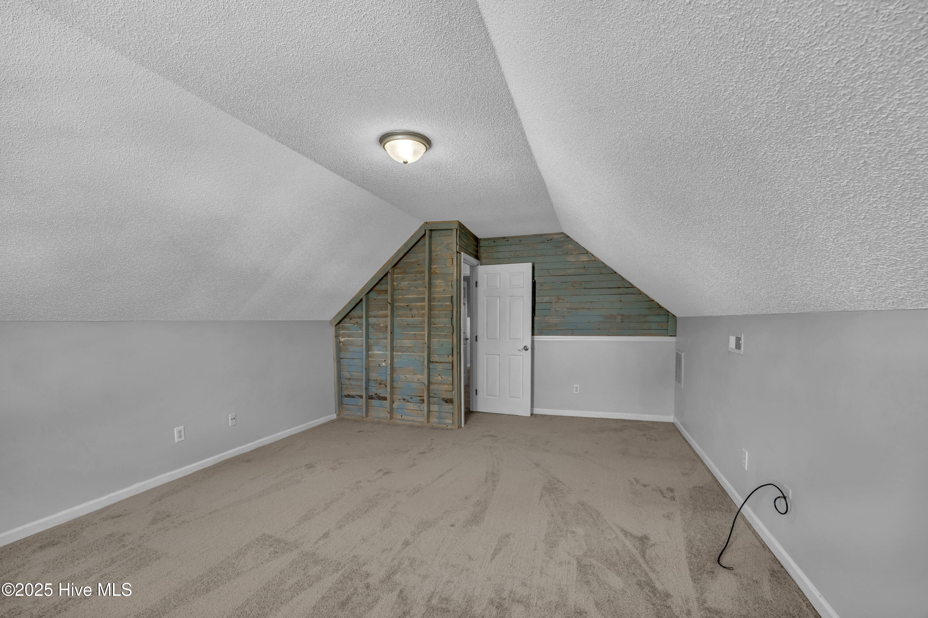 100540259 | Photo 22