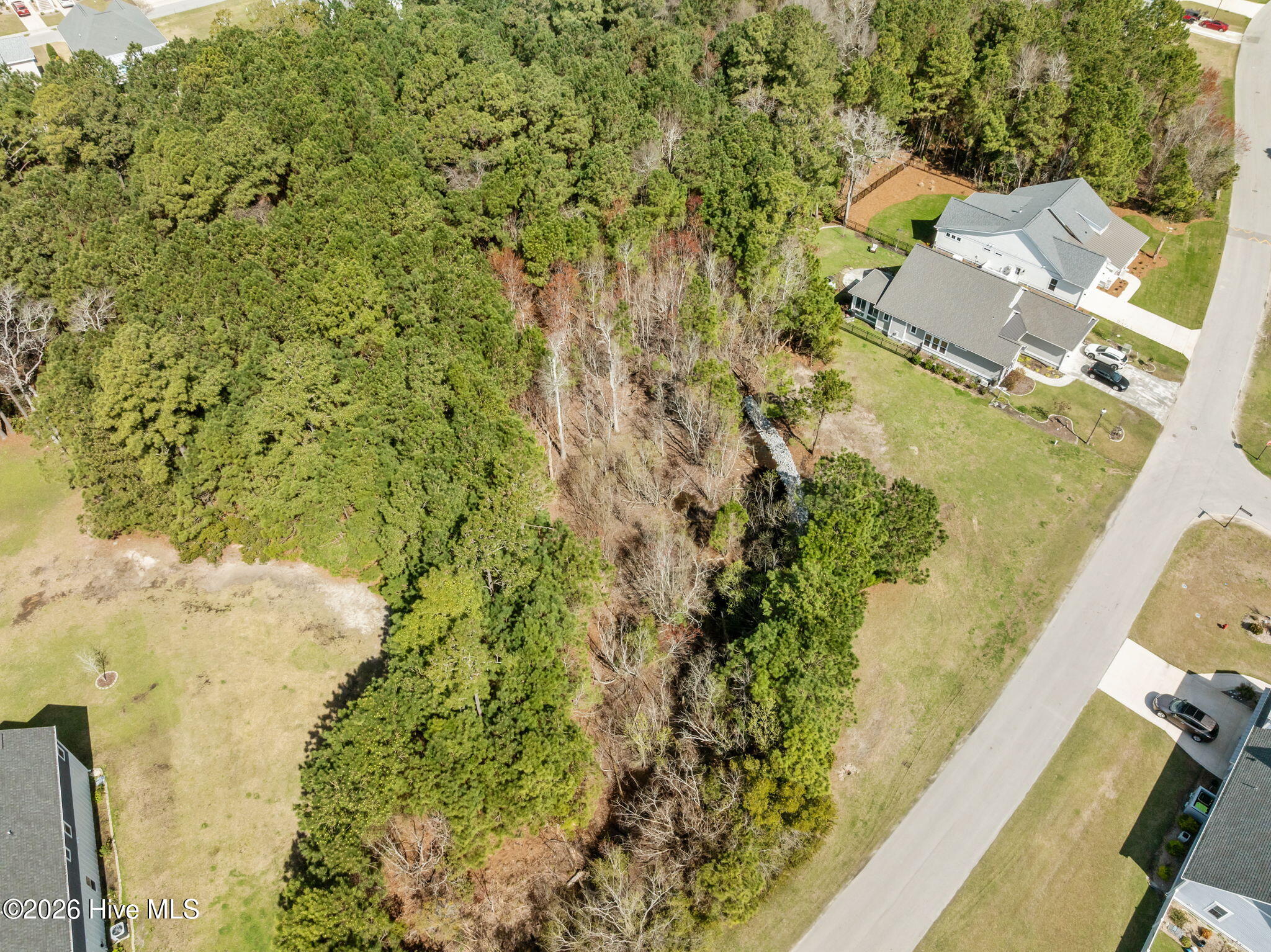 100561510 | Photo 18