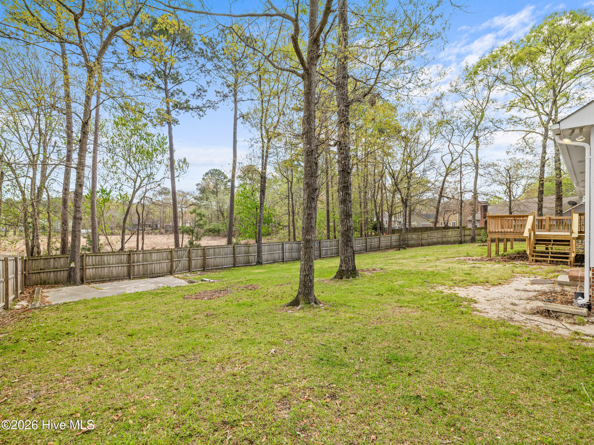 100564987 | Photo 41