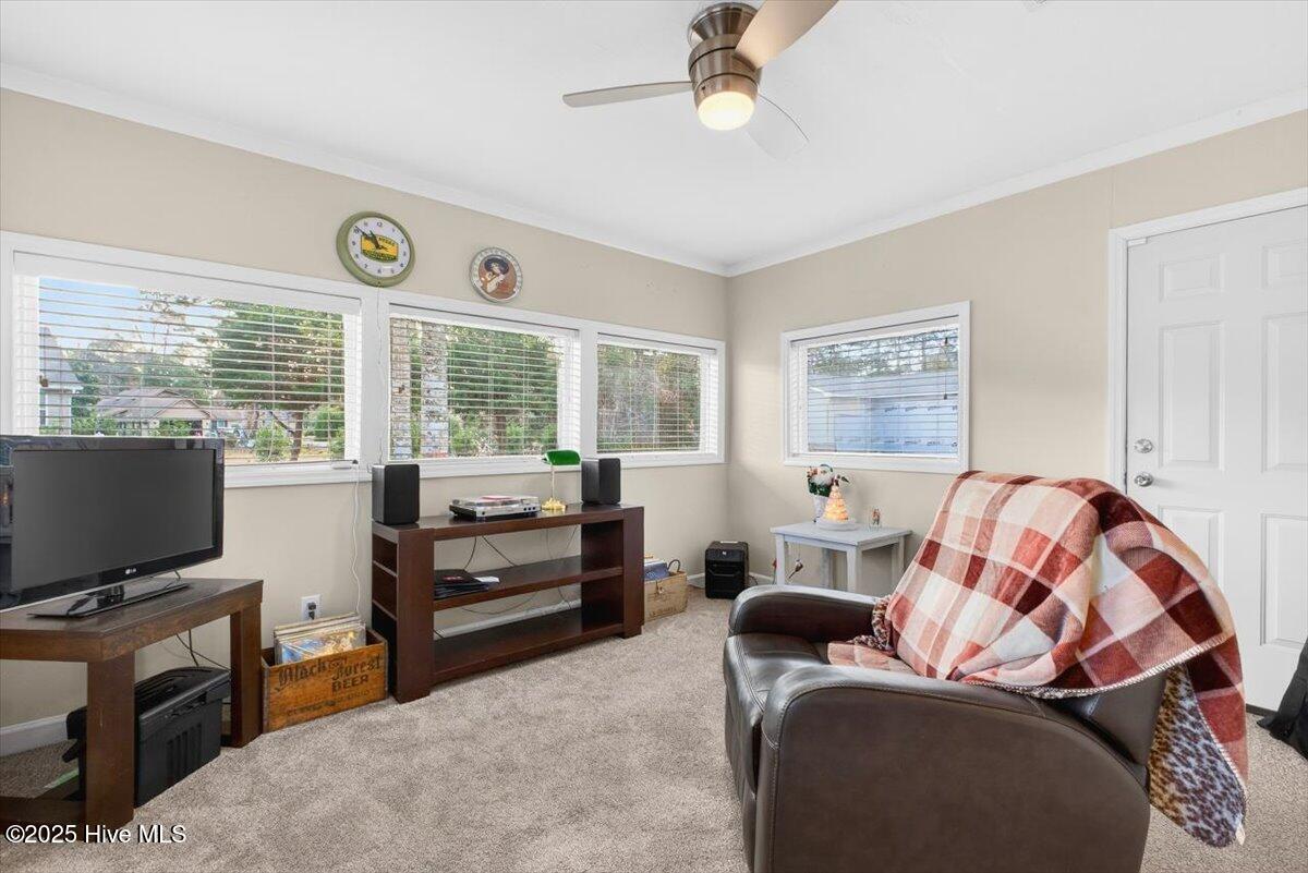 100545415 | Photo 30