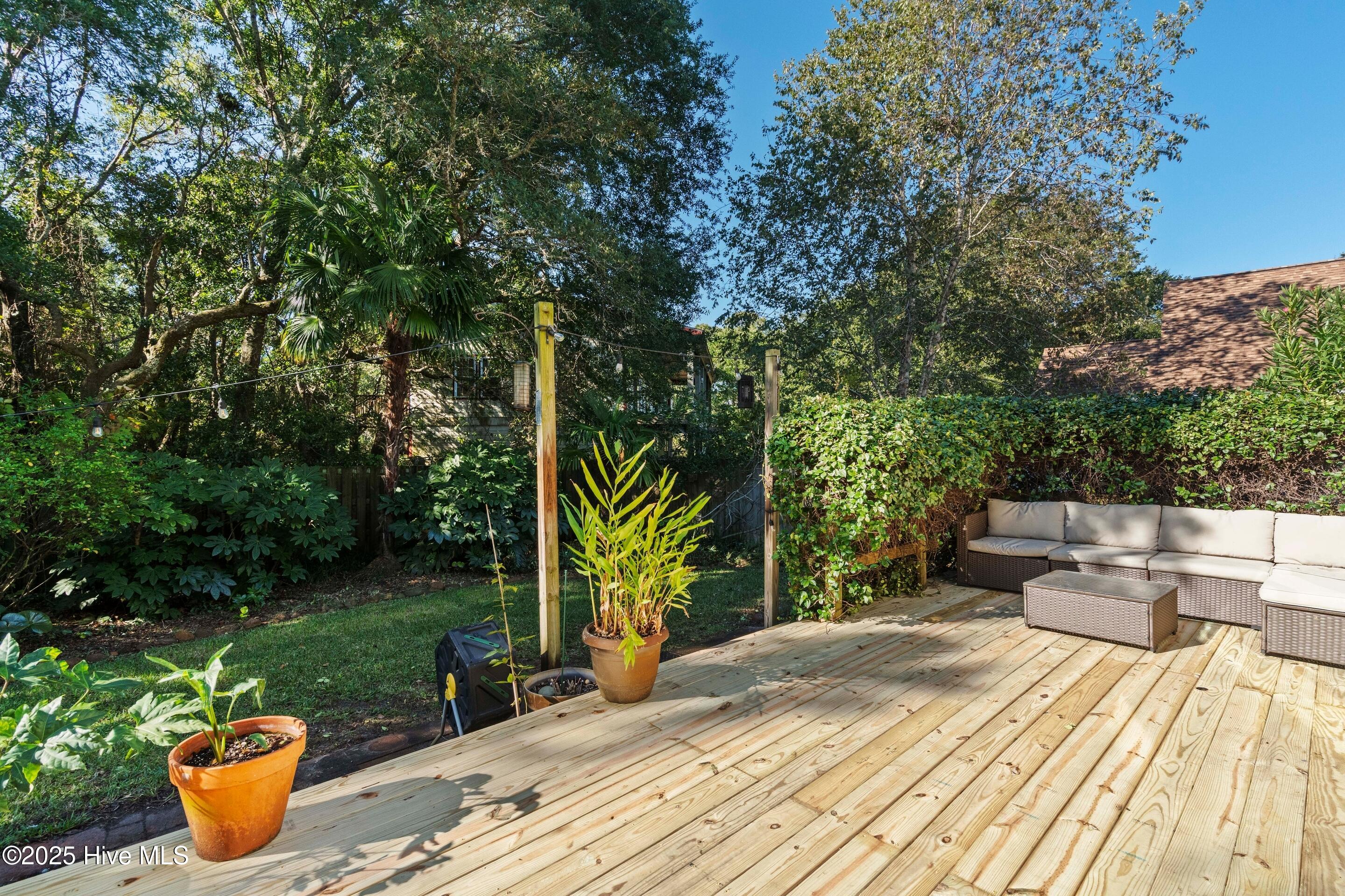 100536584 | Photo 46