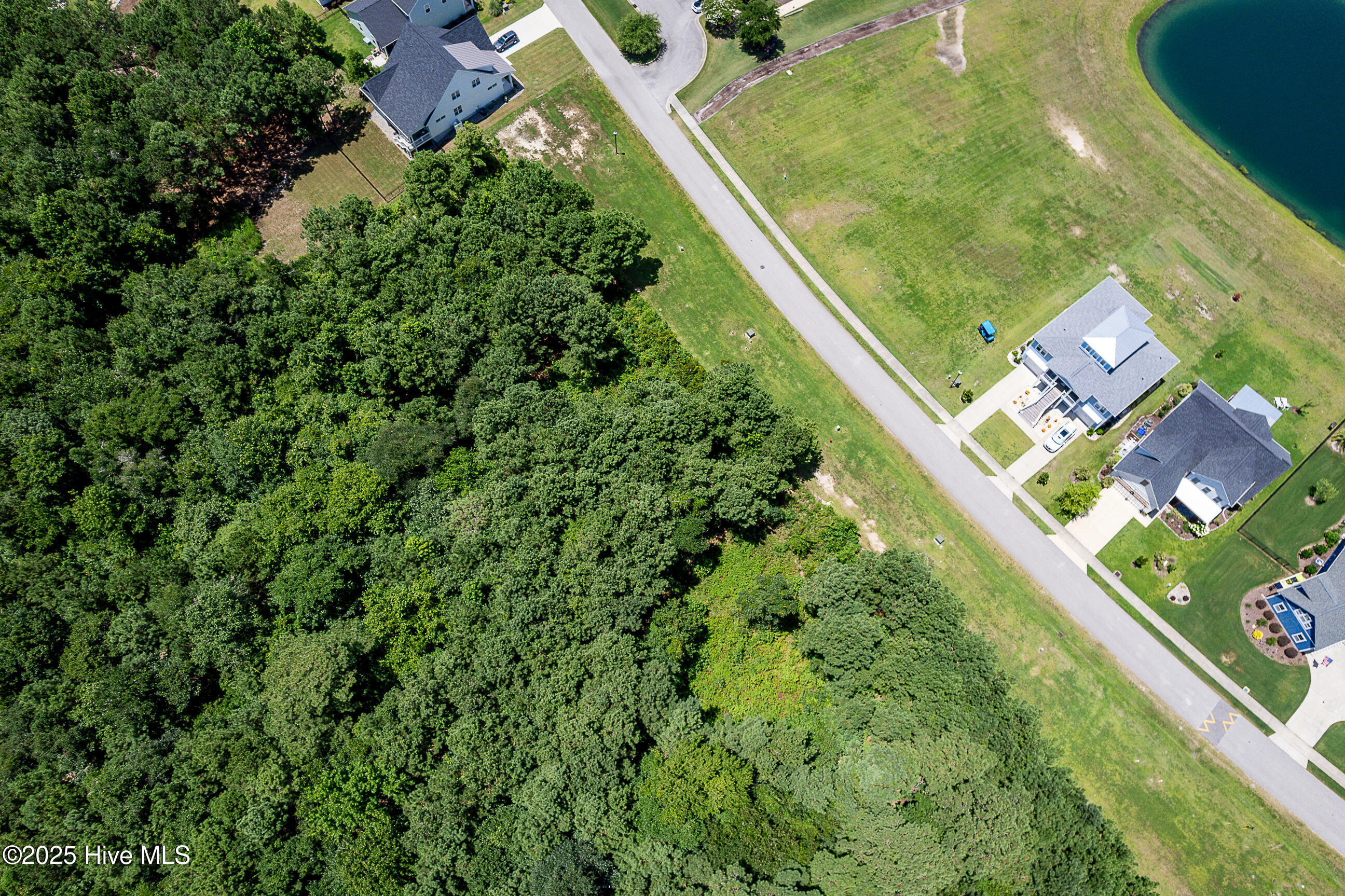 100519801 | Photo 10