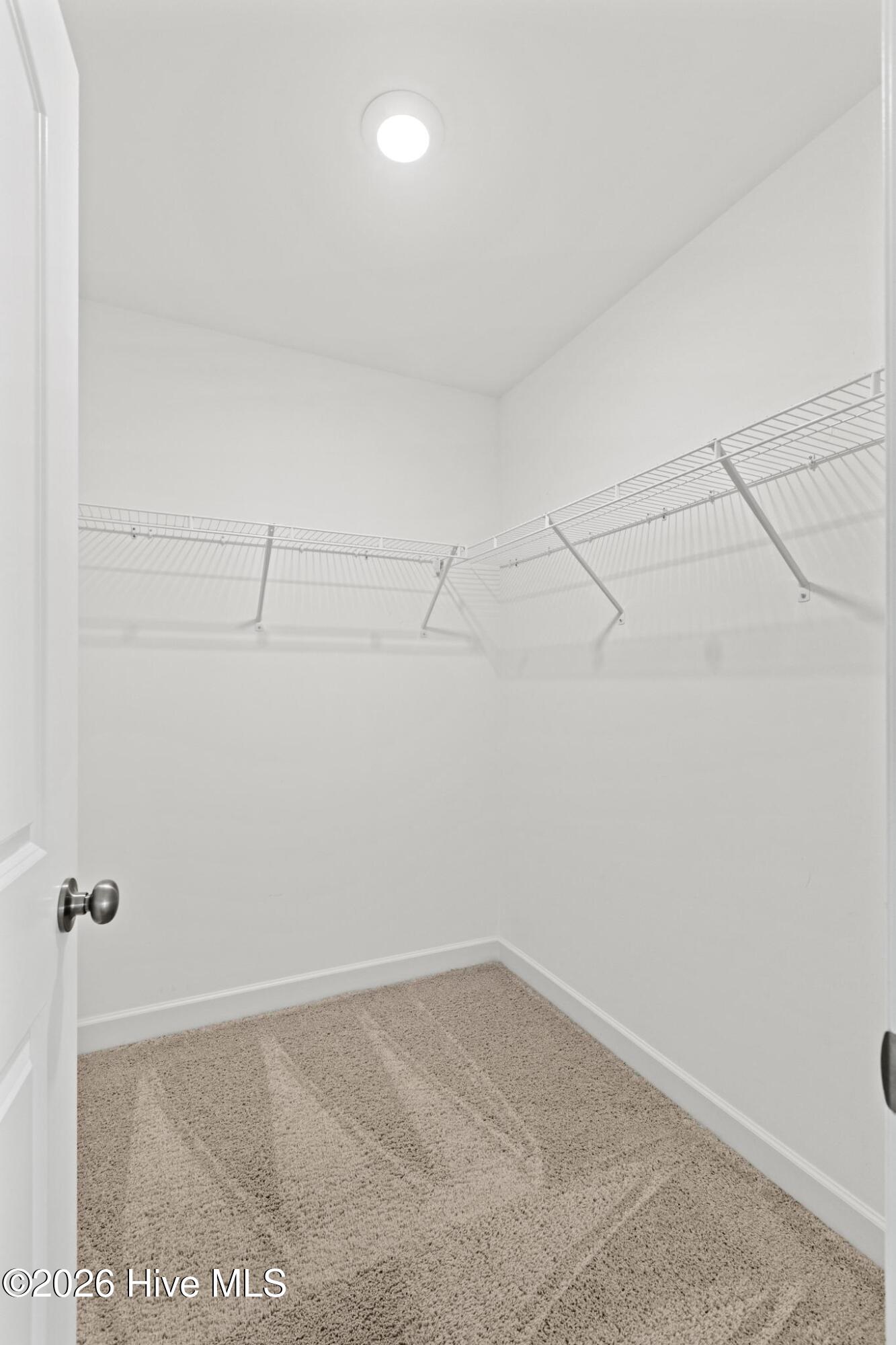 100554493 | Photo 38