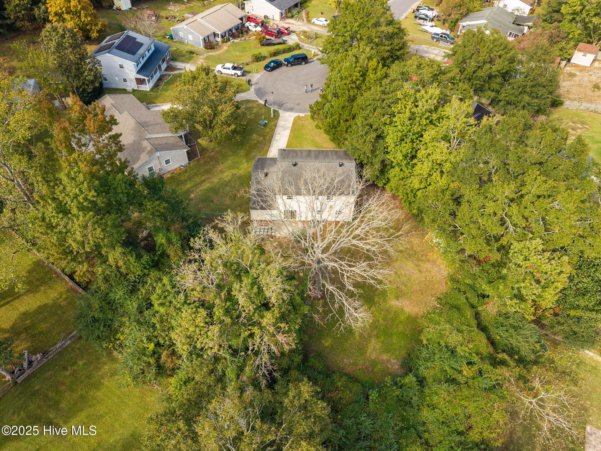 100539019 | Photo 43