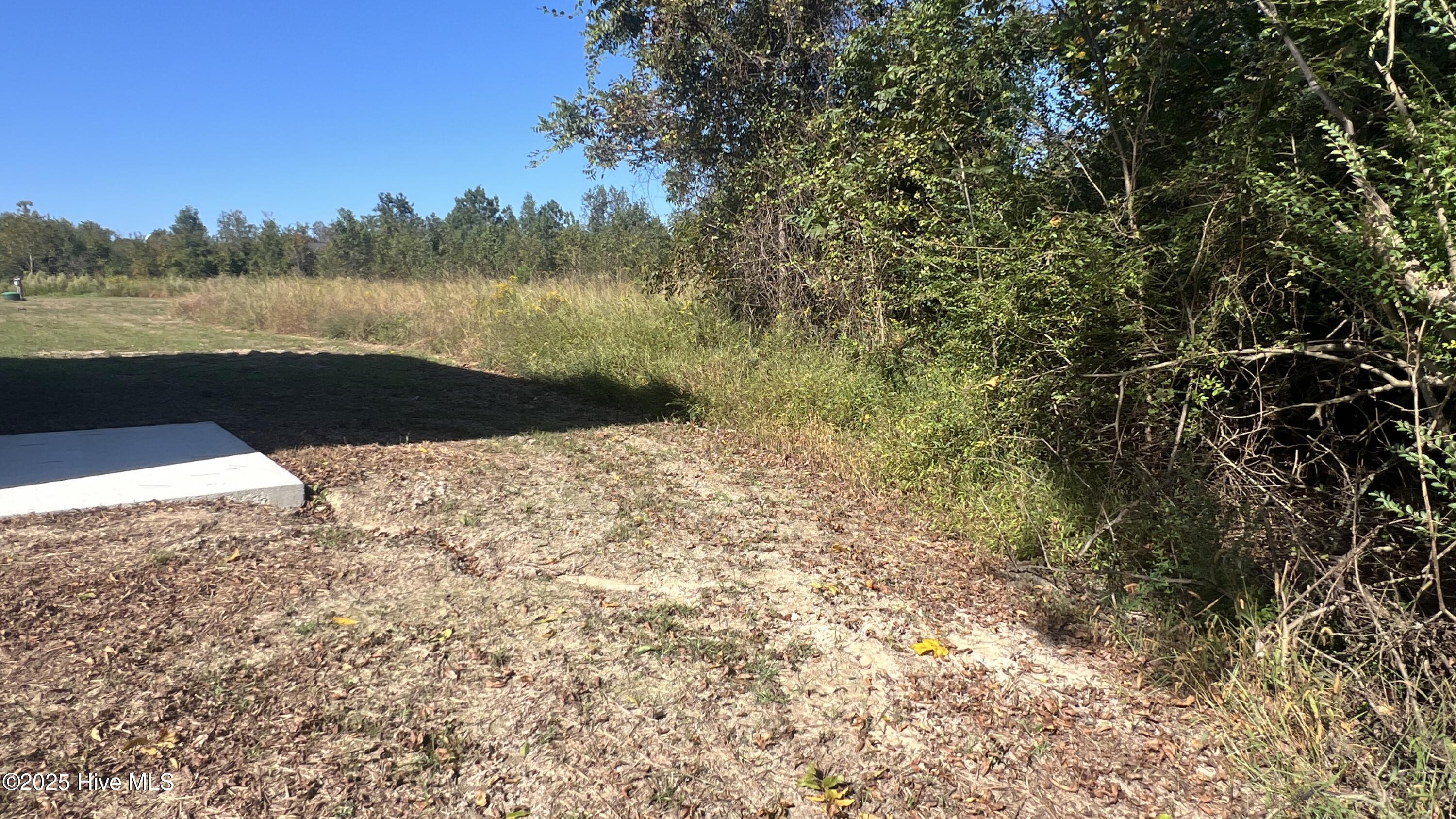 100505781 | Photo 27