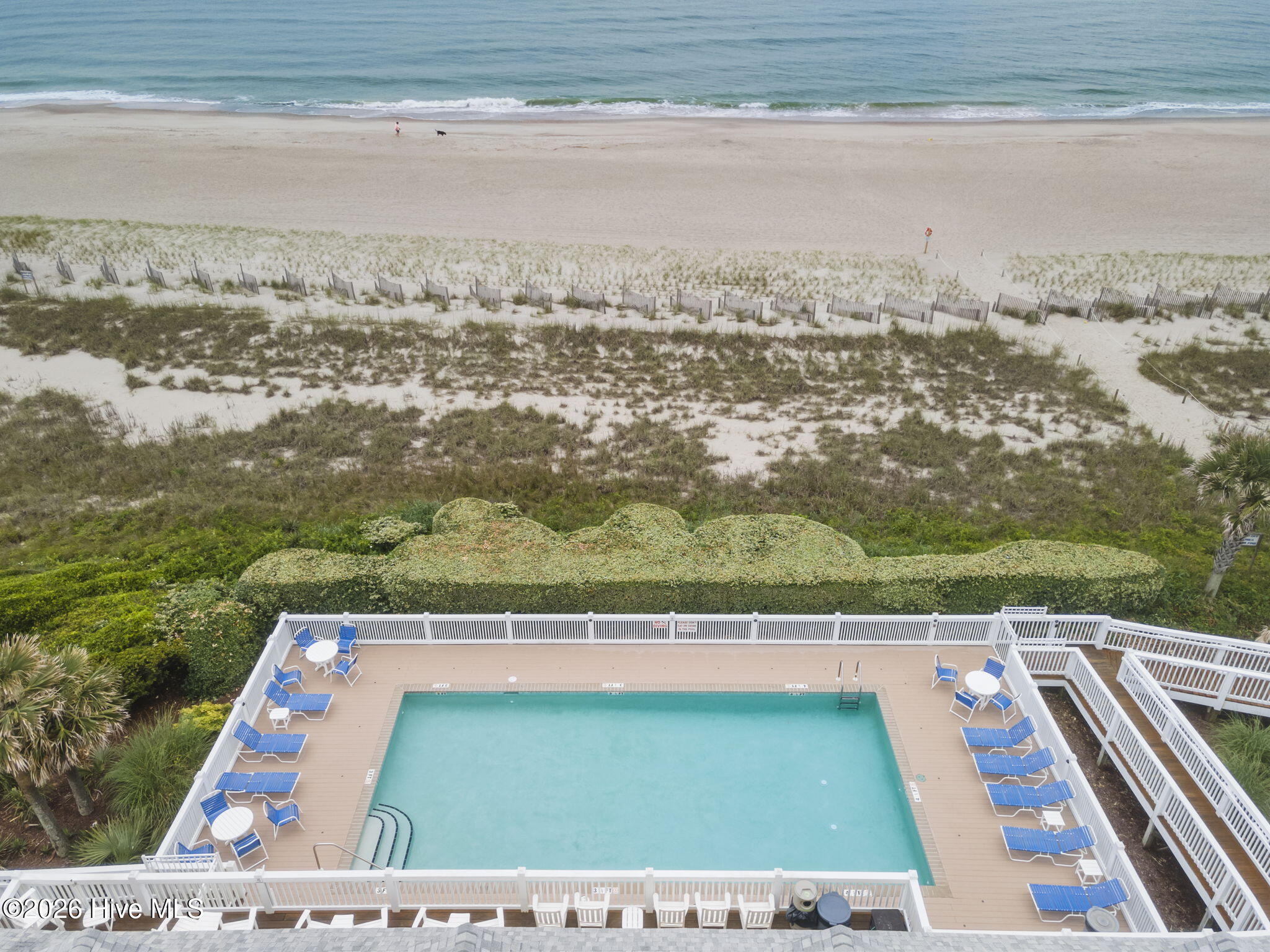 100557018 | Photo 106