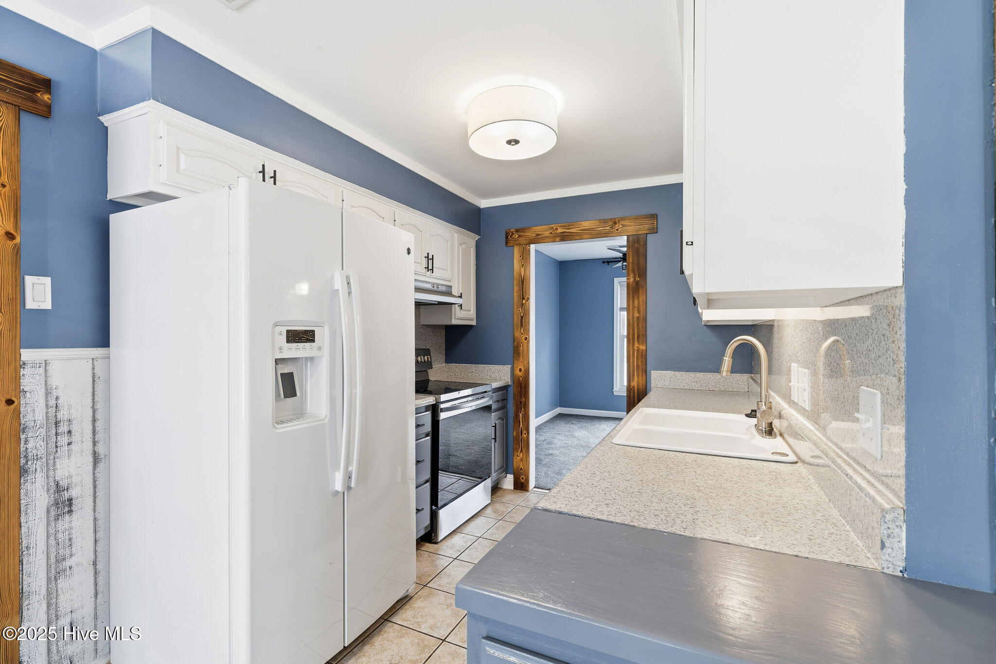 100539016 | Photo 17