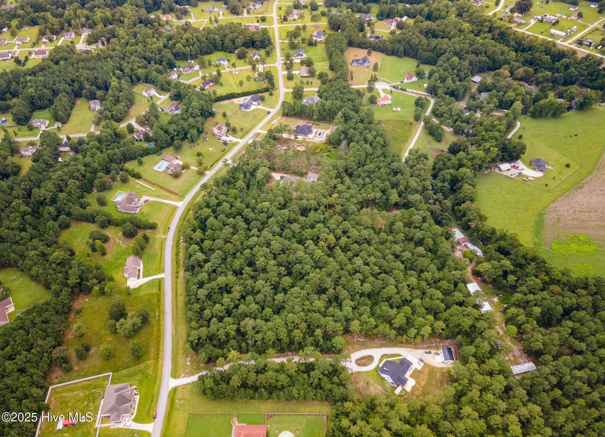 100523955 | Photo 11