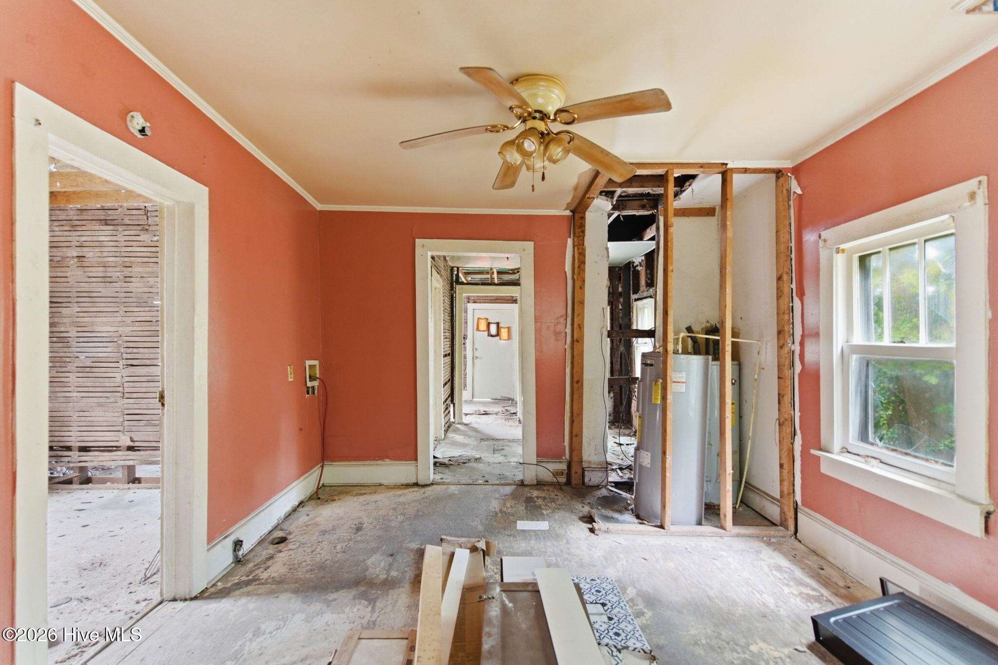 100574004 | Photo 10
