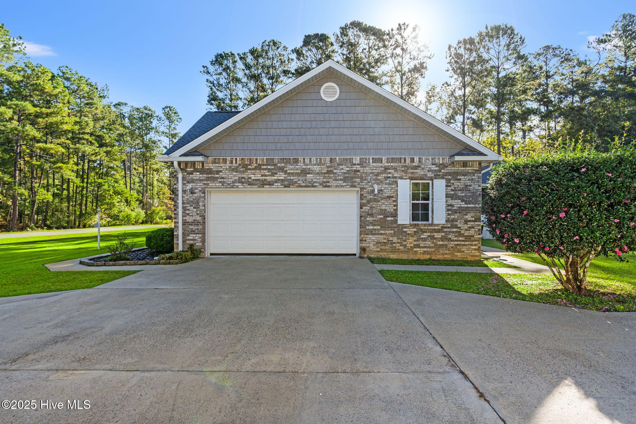 100535002 | Photo 26