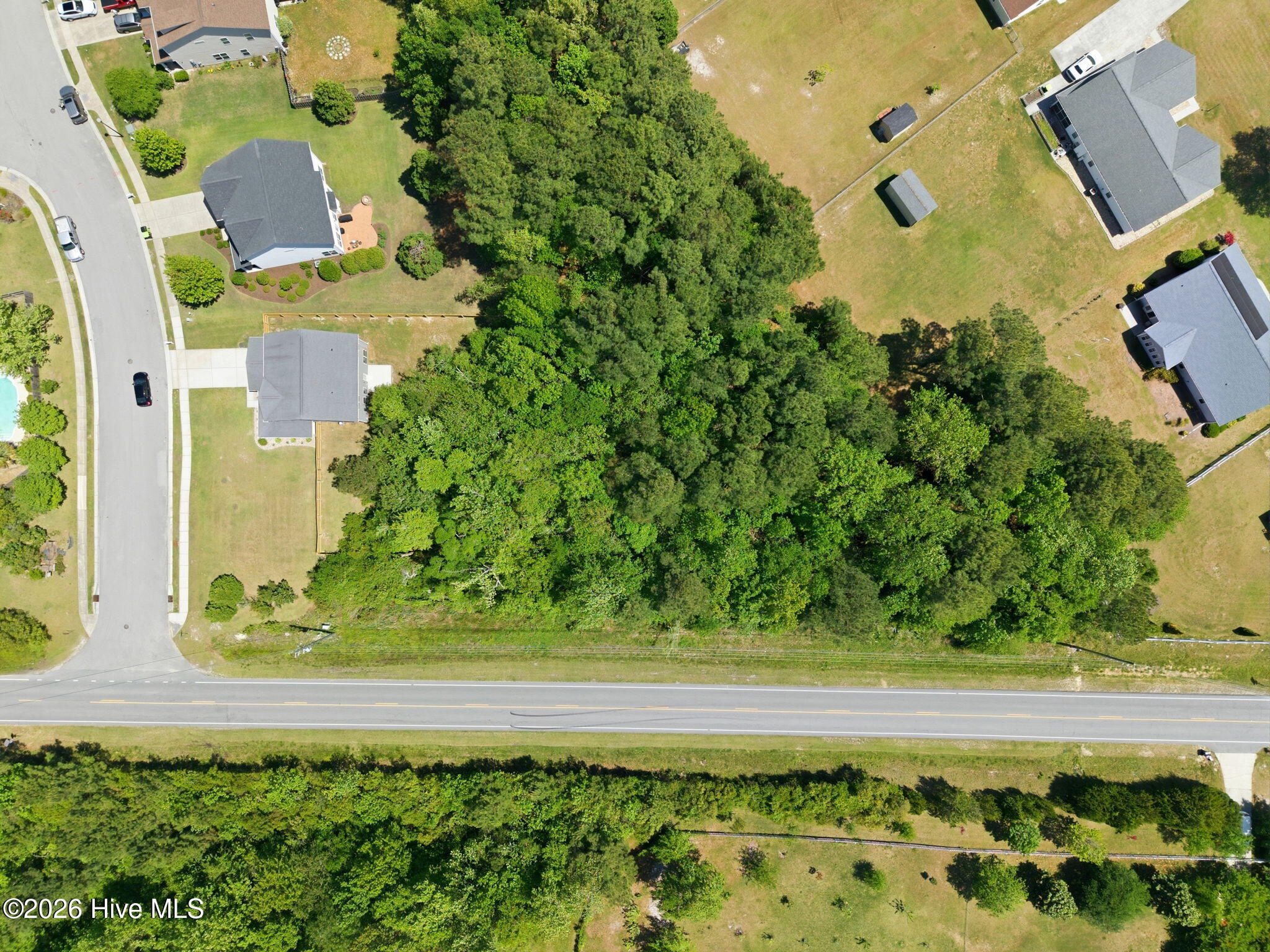 100569504 | Photo 51