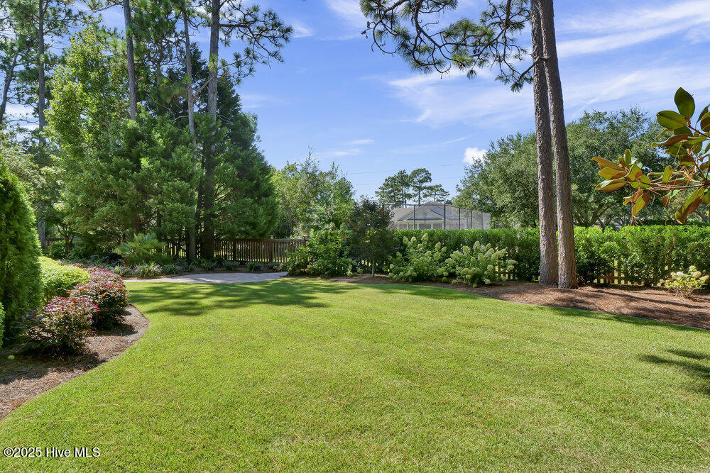 100531667 | Photo 89