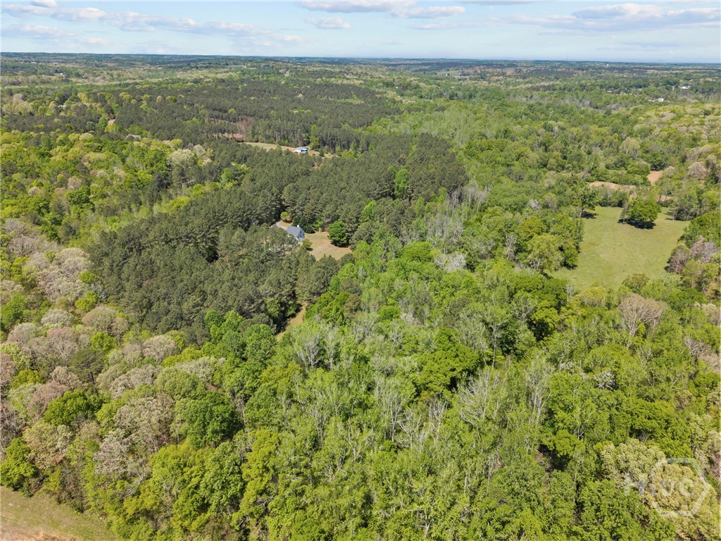 599 Double Branch Road, Danielsville, GA, 30633